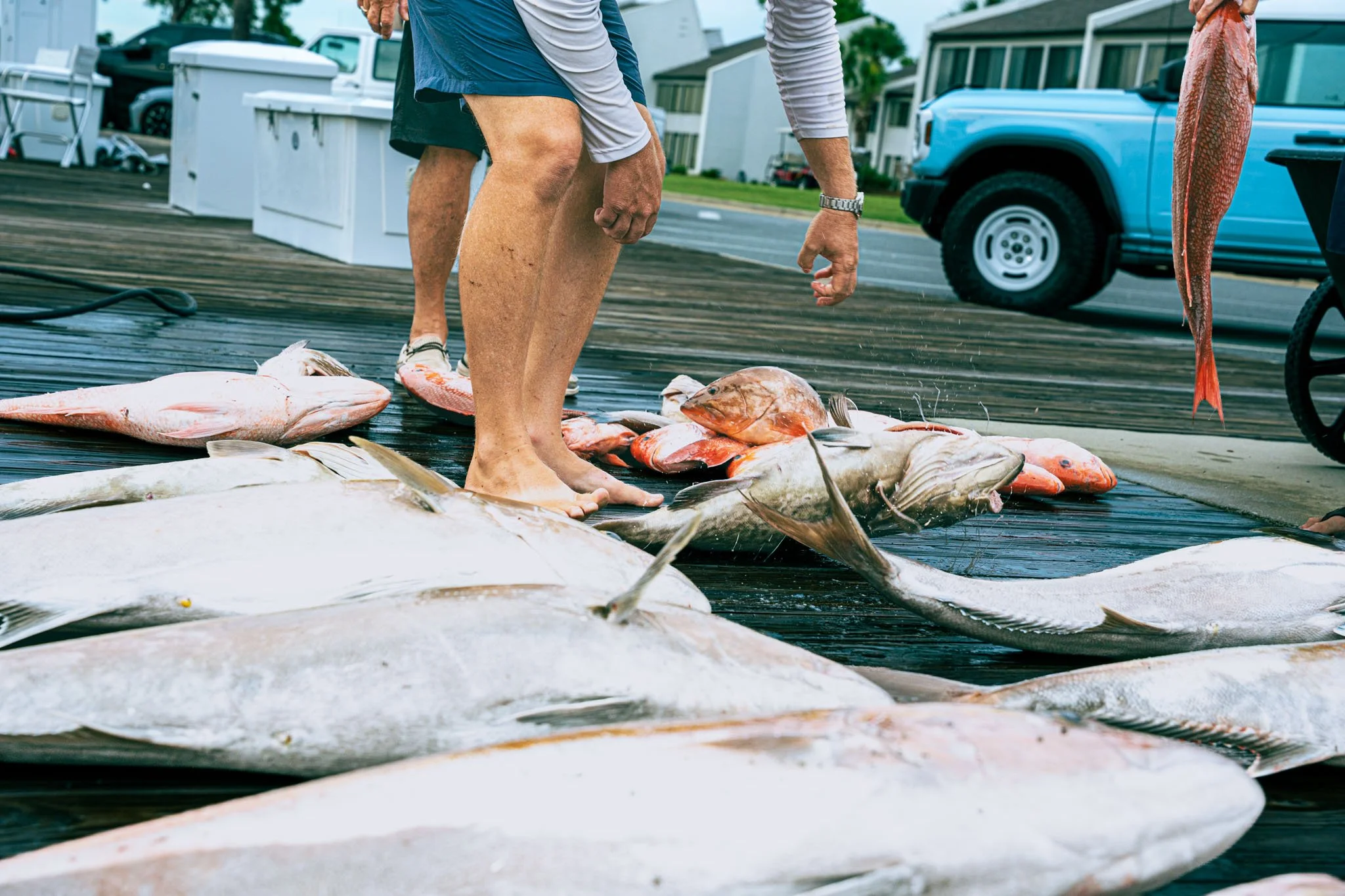Person standing on a dock with fish laid out on the ground, nearby a boat and a parked truck.