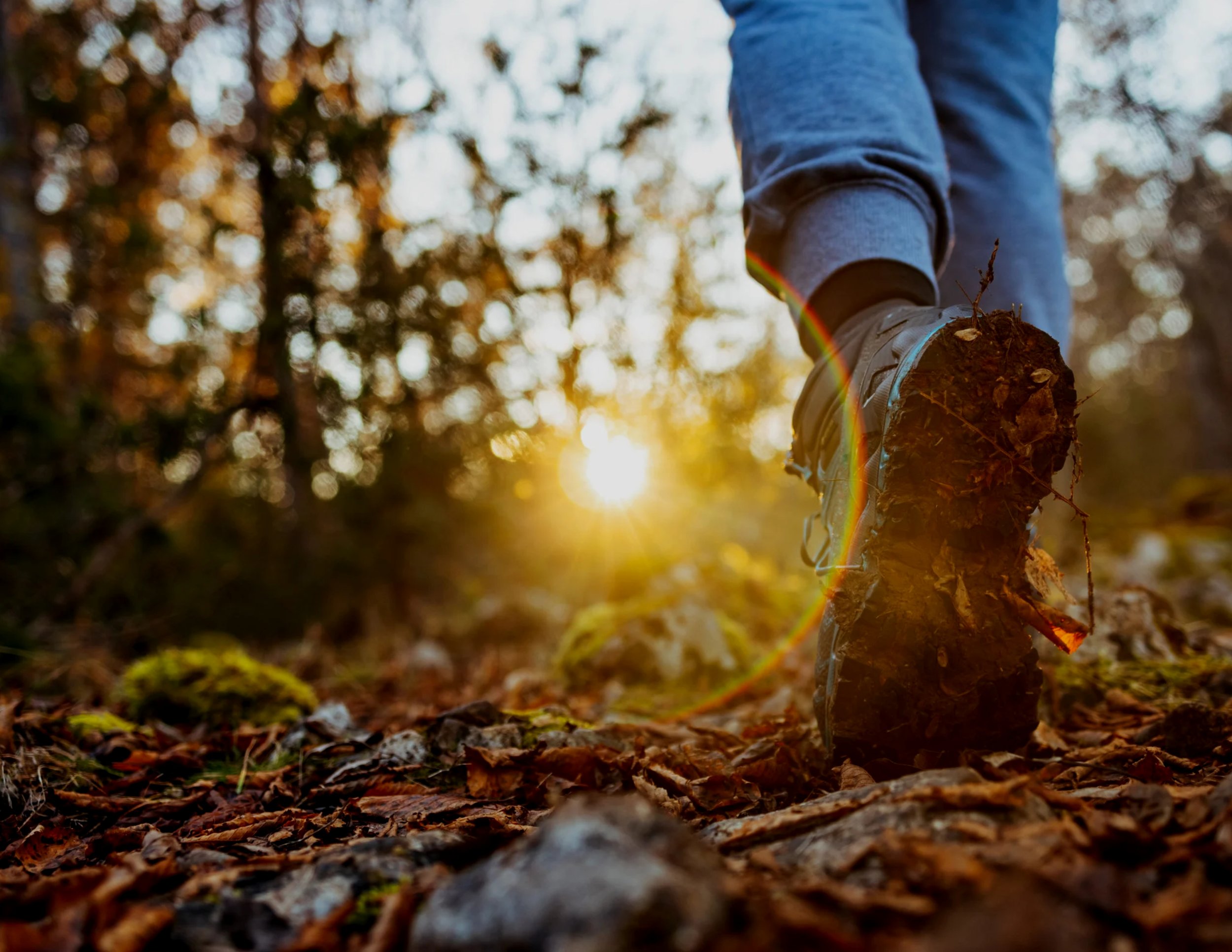 Hiking and Walking Group