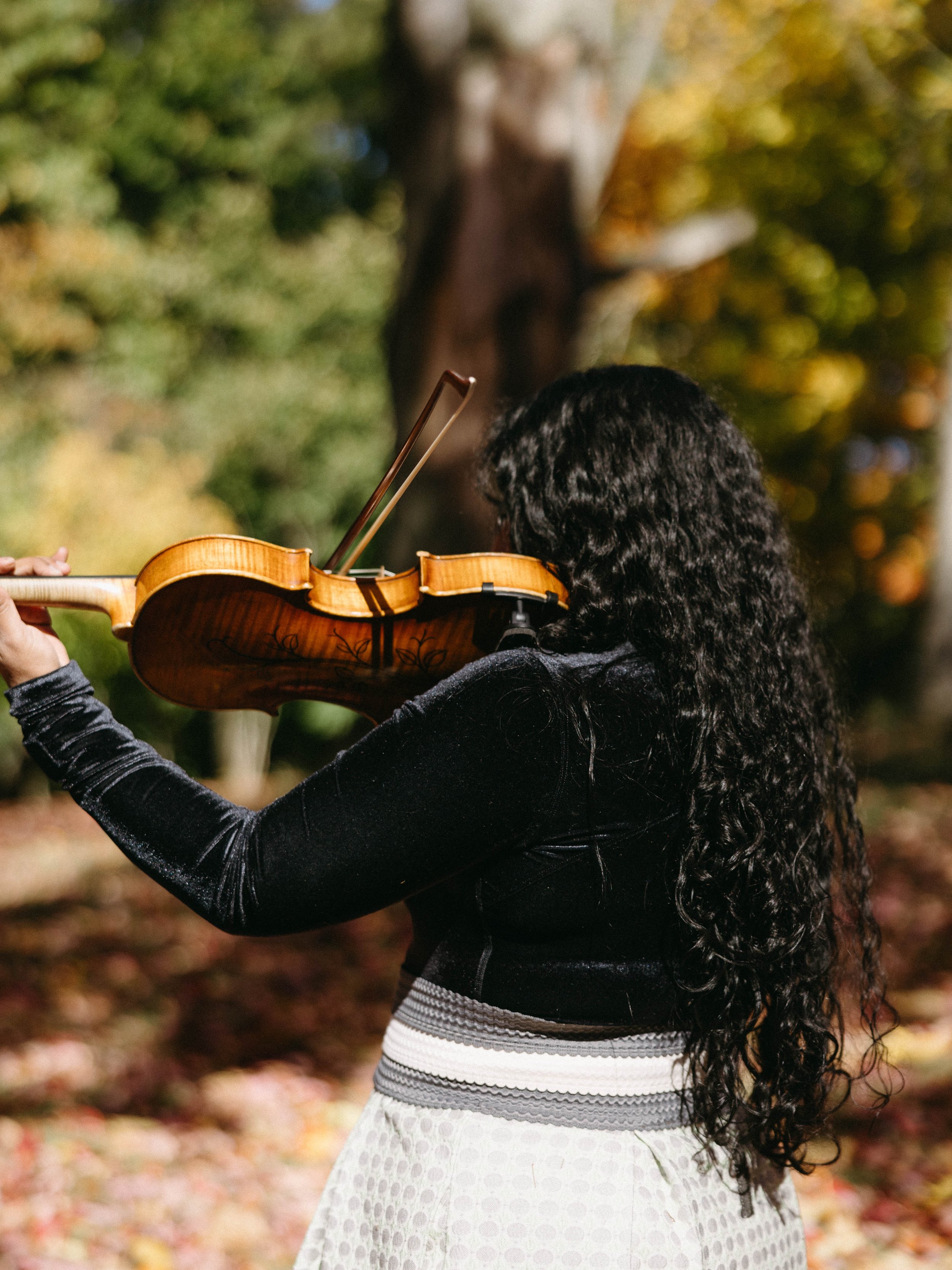 viola lessons pittsburgh pa