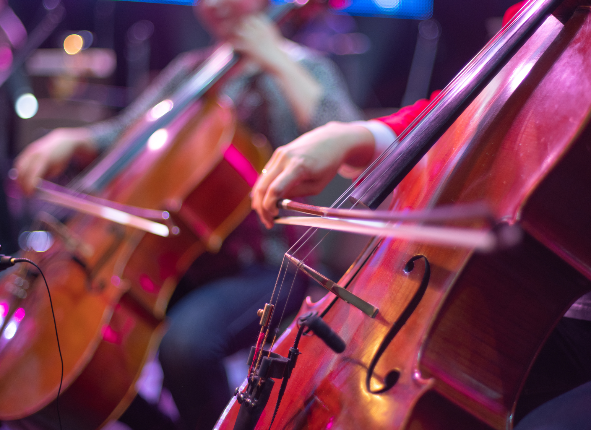 Close-up of musicians playing cellos during a performance, with focus on the wood and strings of the instruments.