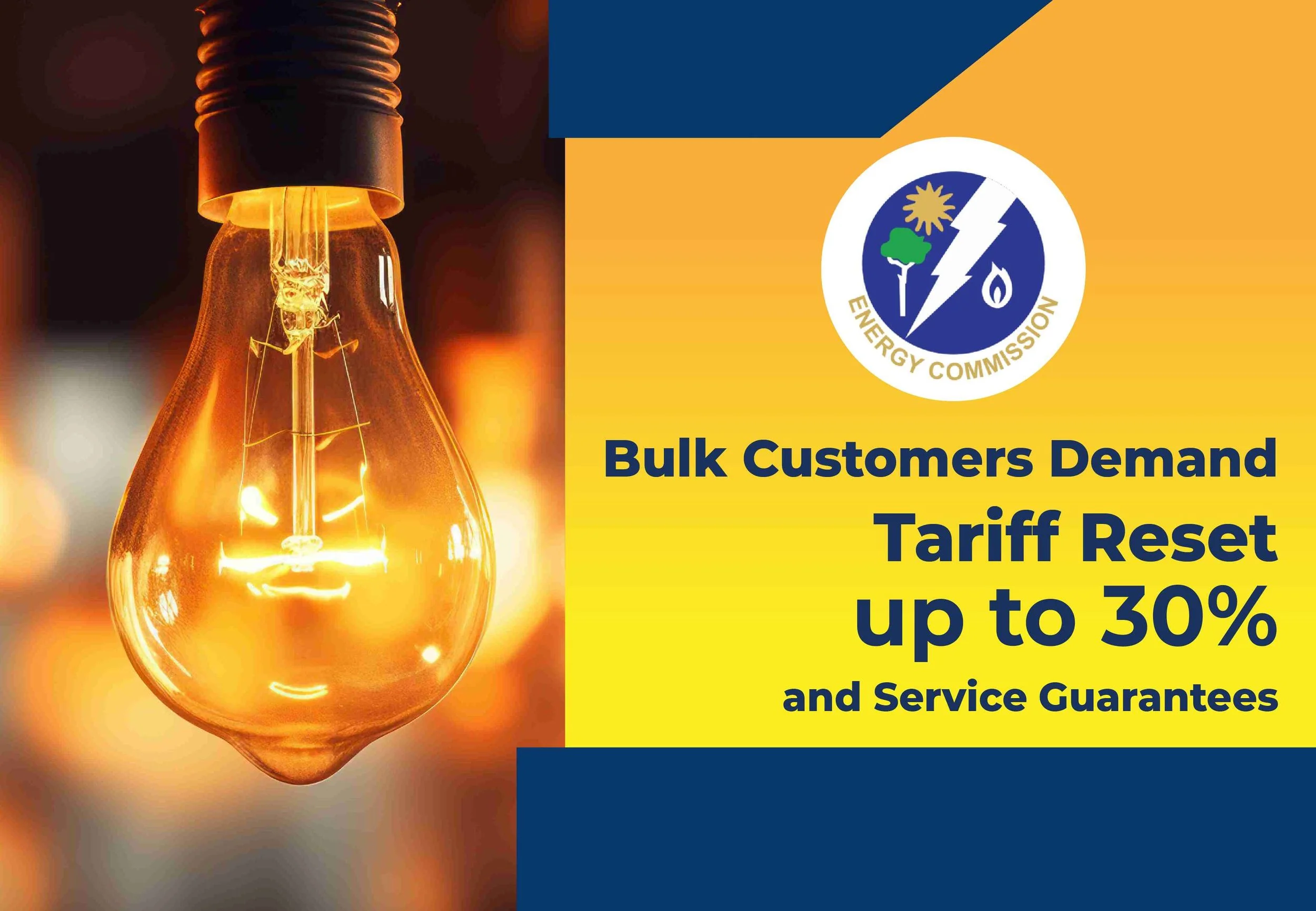 Bulk Customers Push for Lower Tariffs, Better Service in Electricity Market Reform at Energy Commission Engagement