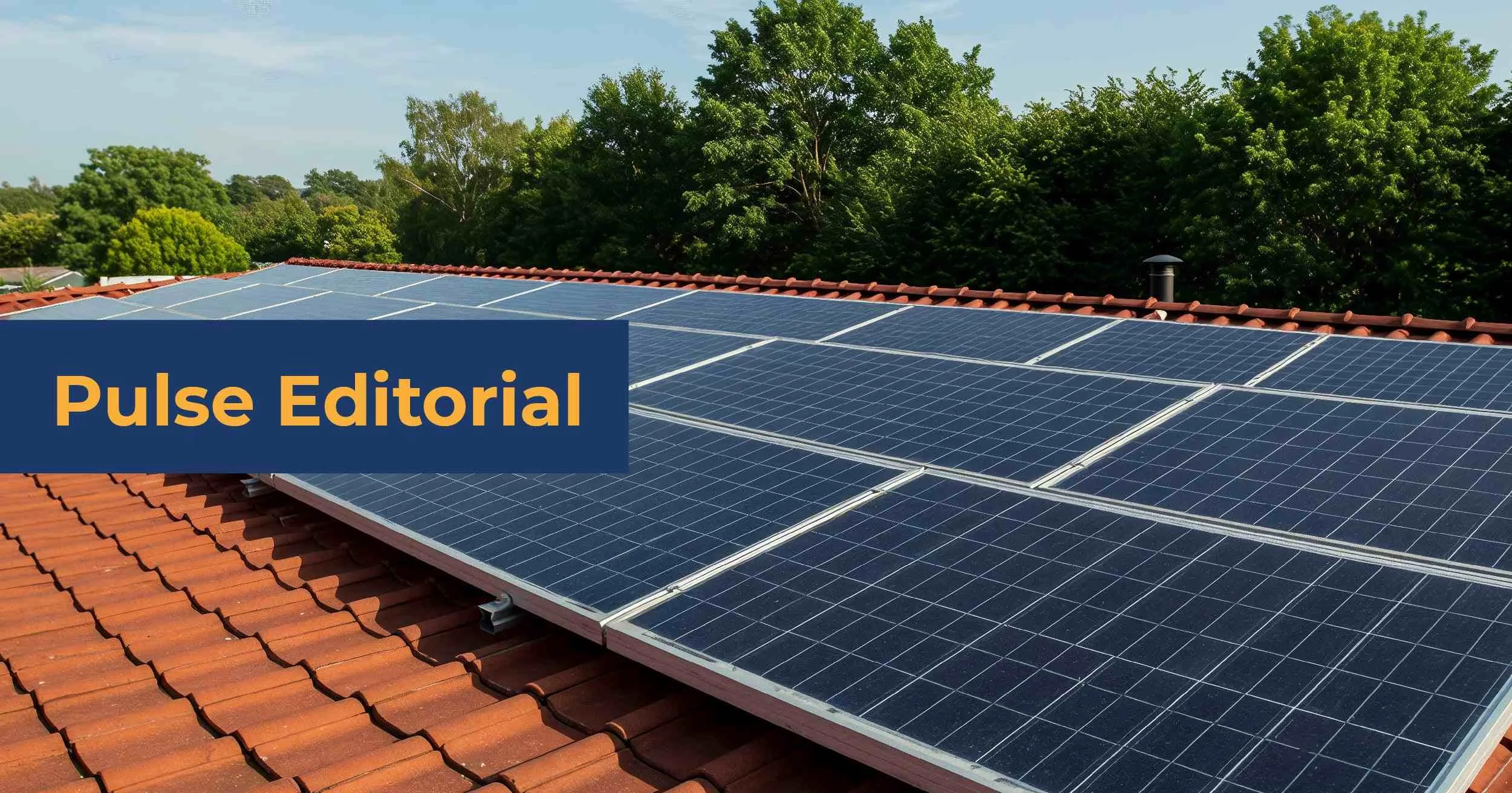 The Republic's New Harvest