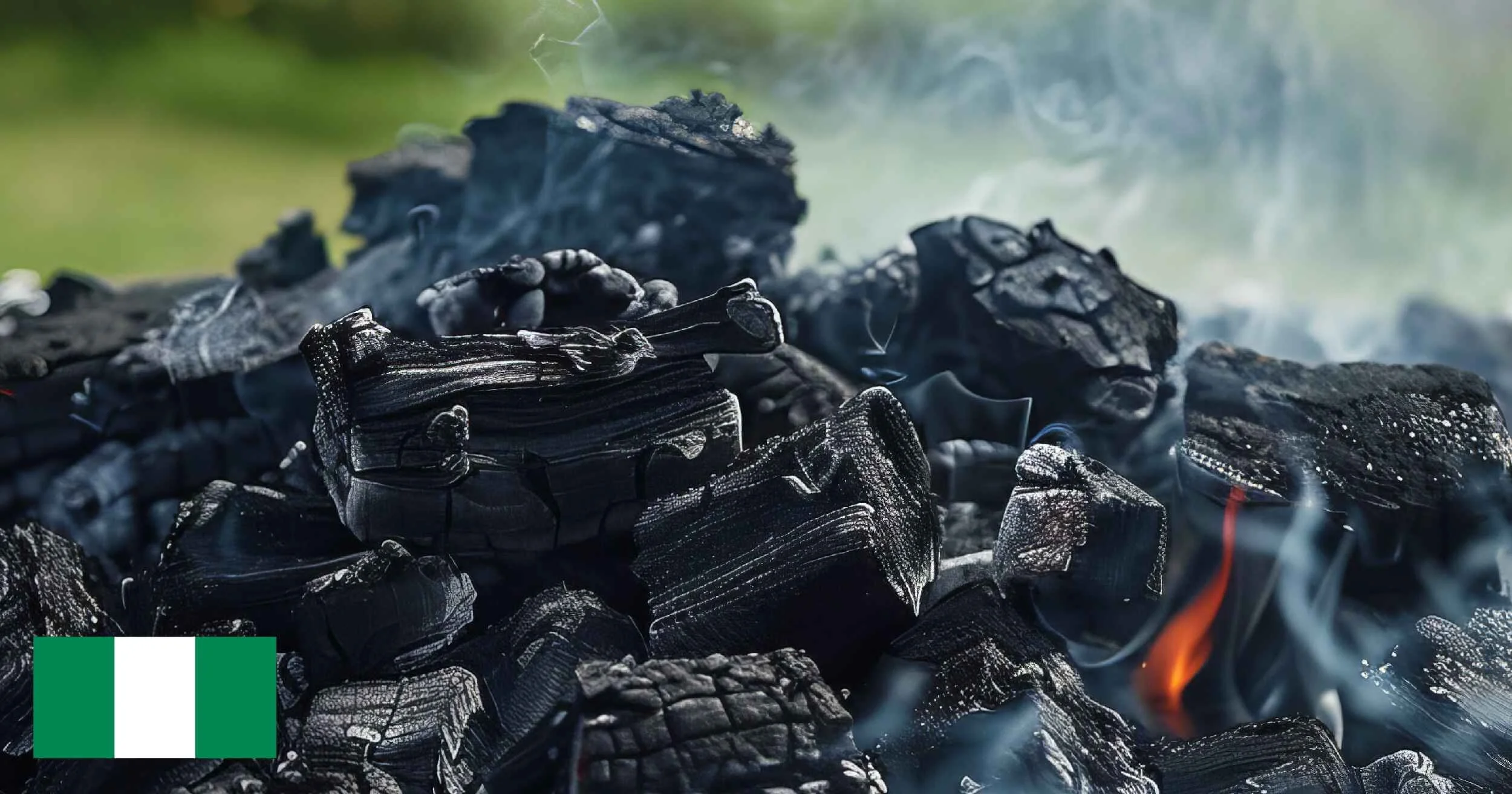 Nigeria Authorises First Paris-Aligned Carbon Credit Project, Testing Integrity of Emerging Market Framework