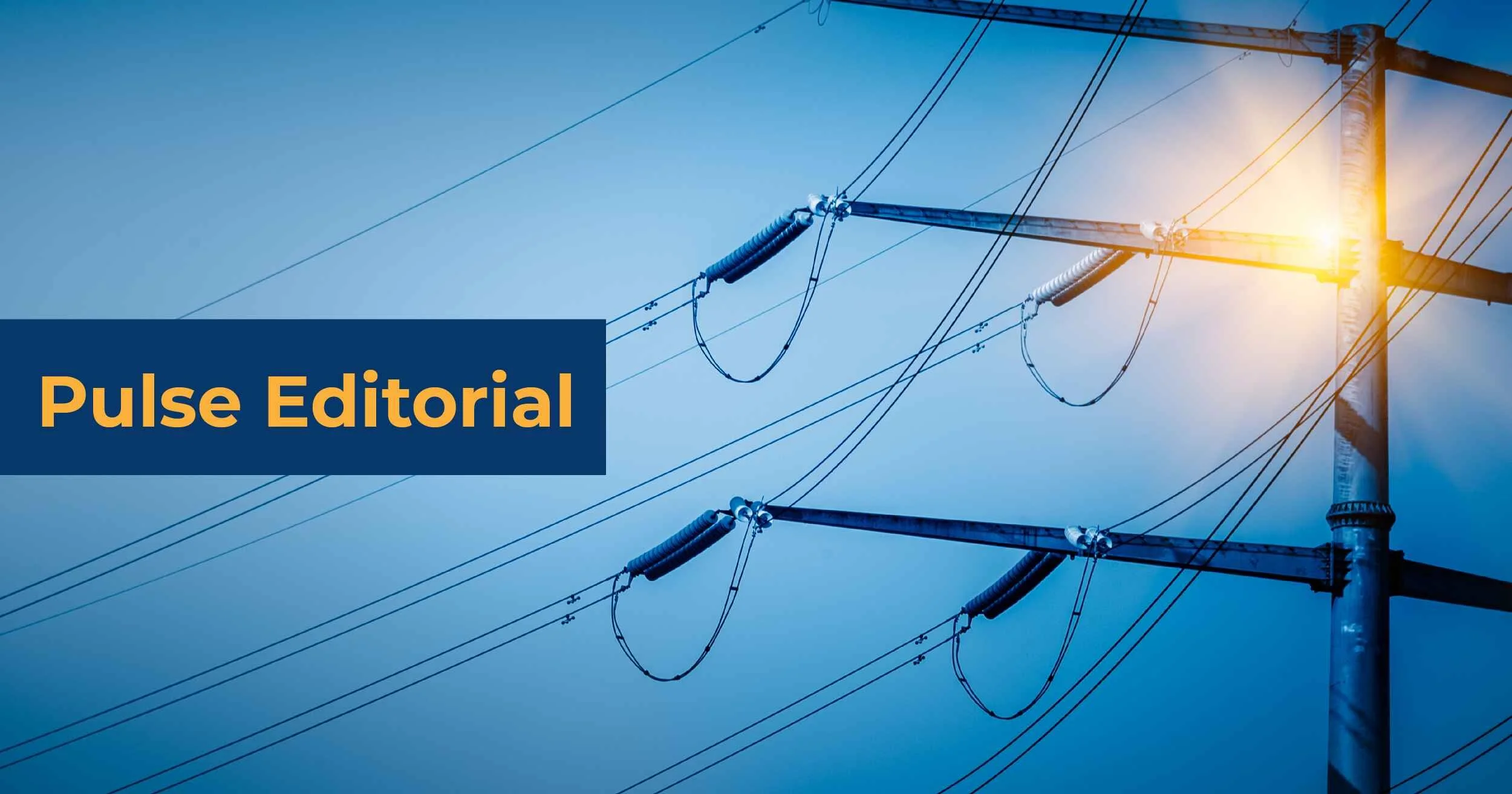 Green Pressure, Real Costs