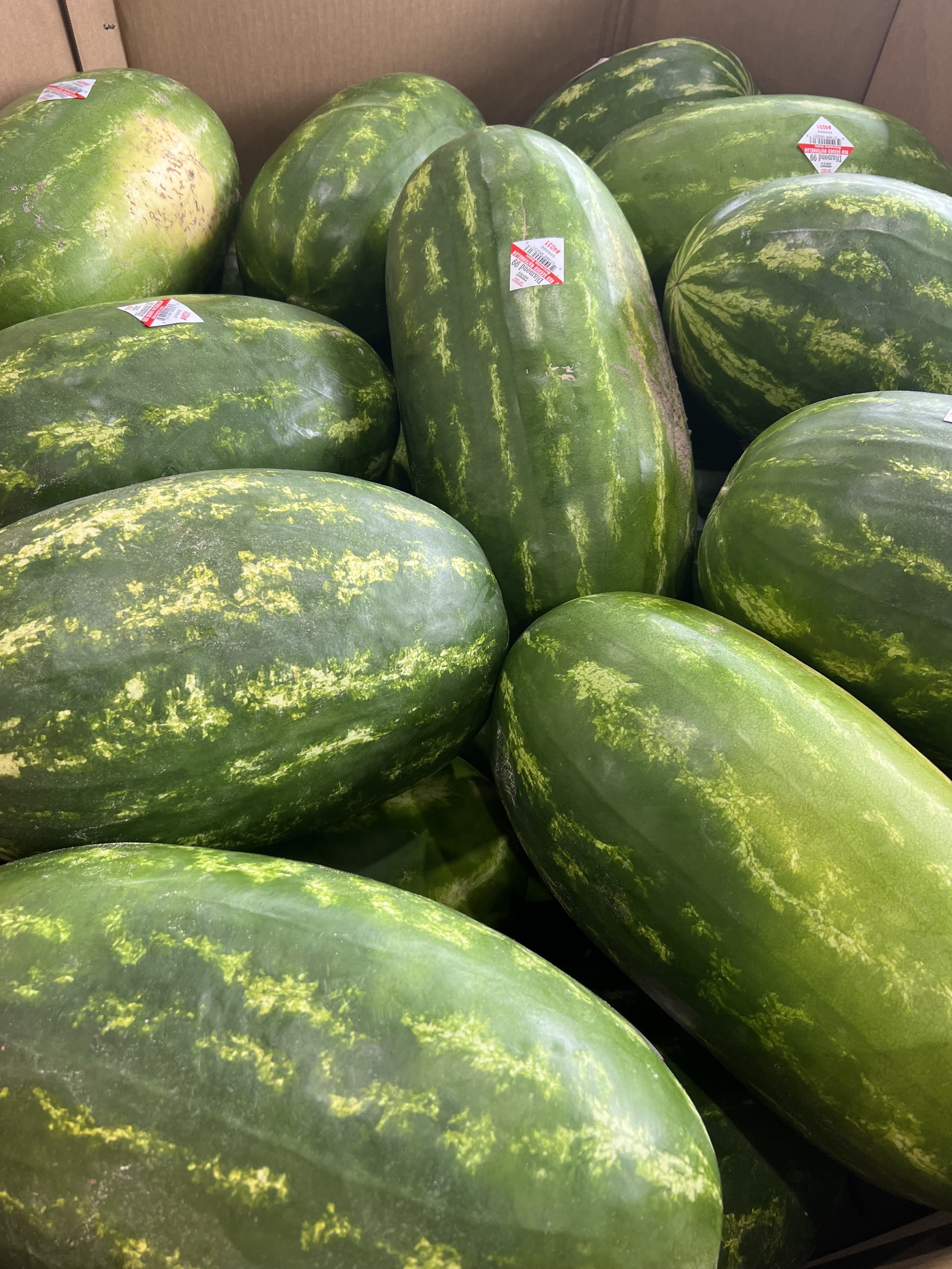 Group of watermelons with green rinds and yellow streaks in a storage area.