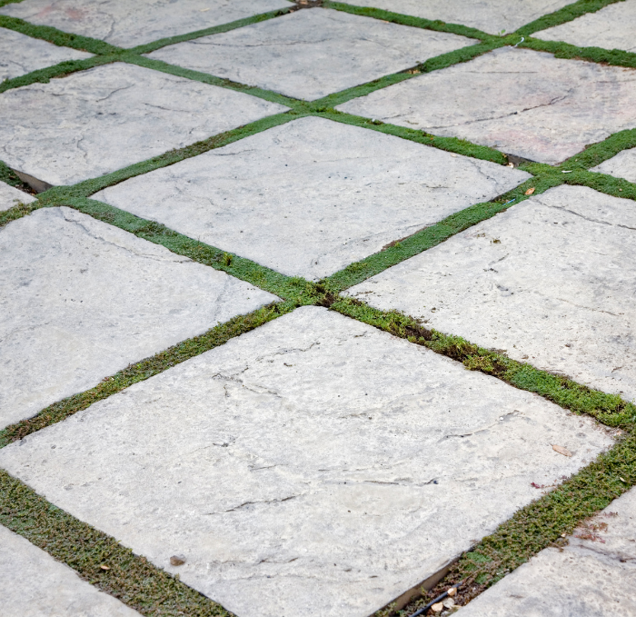 Pavers