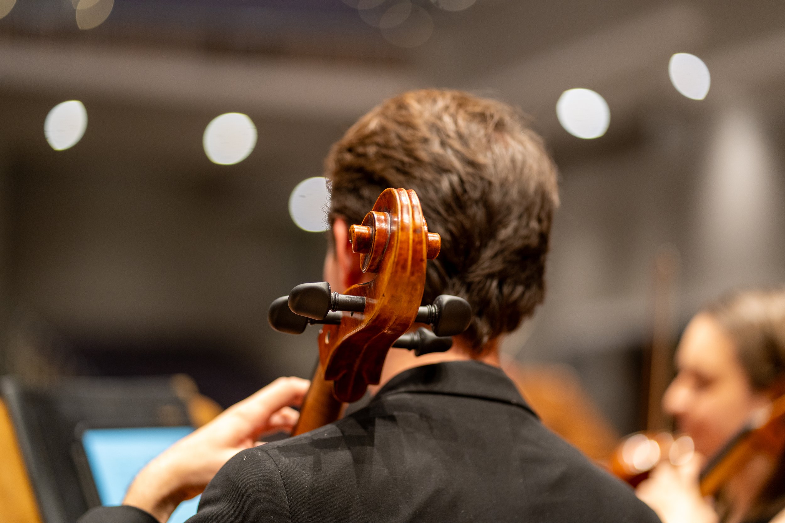 Cellist - Concordia Orchestra Tour