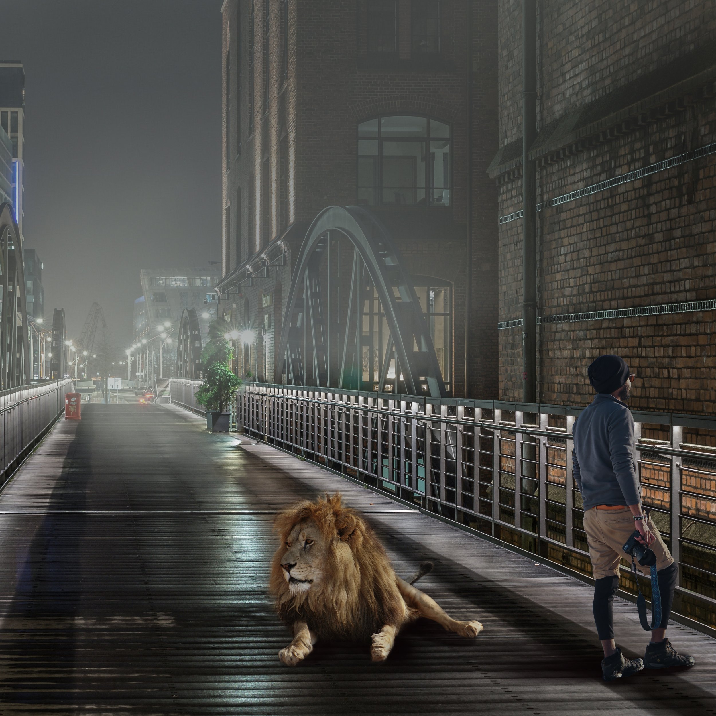 190203_Magritte_Lion.jpg