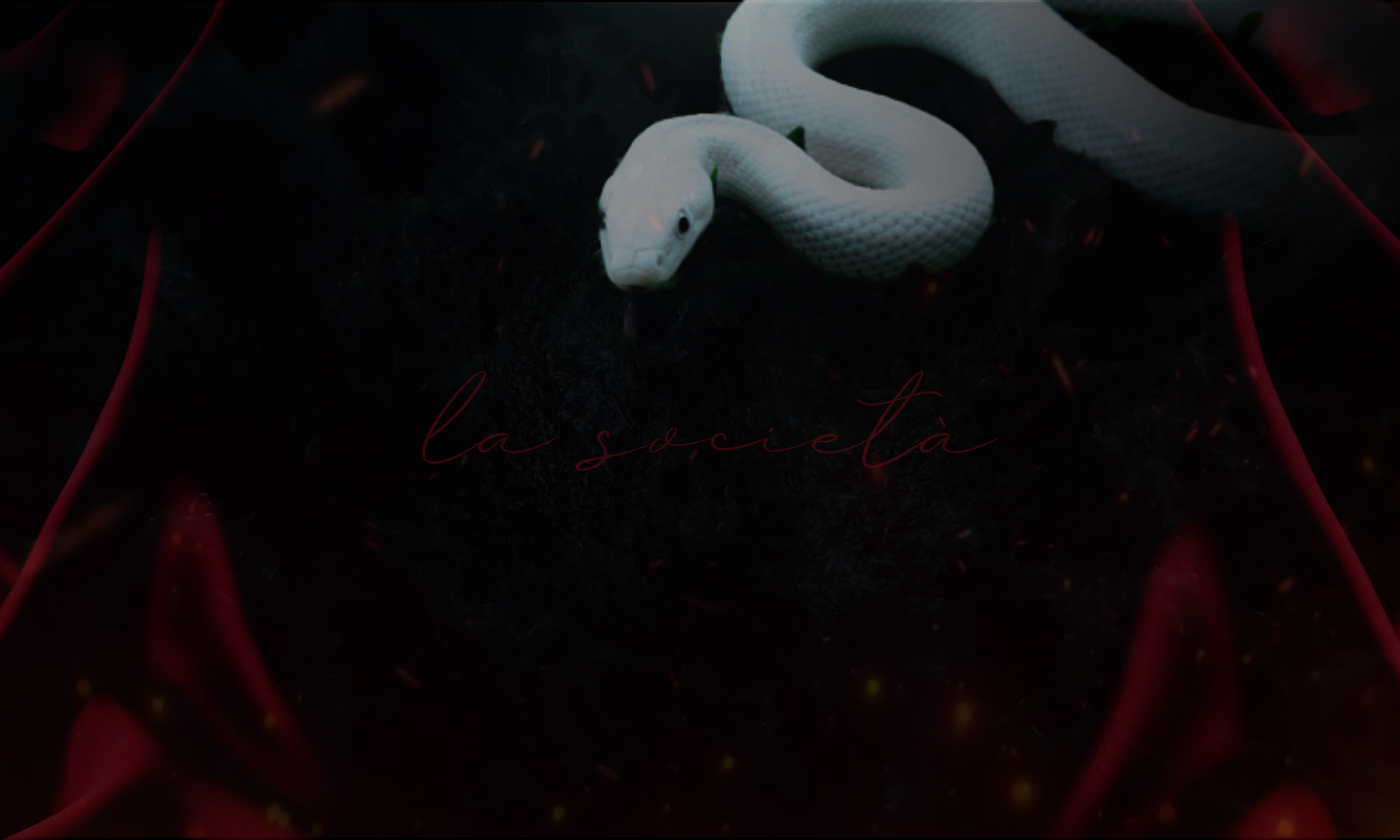 lunanera la societa banner no text.png