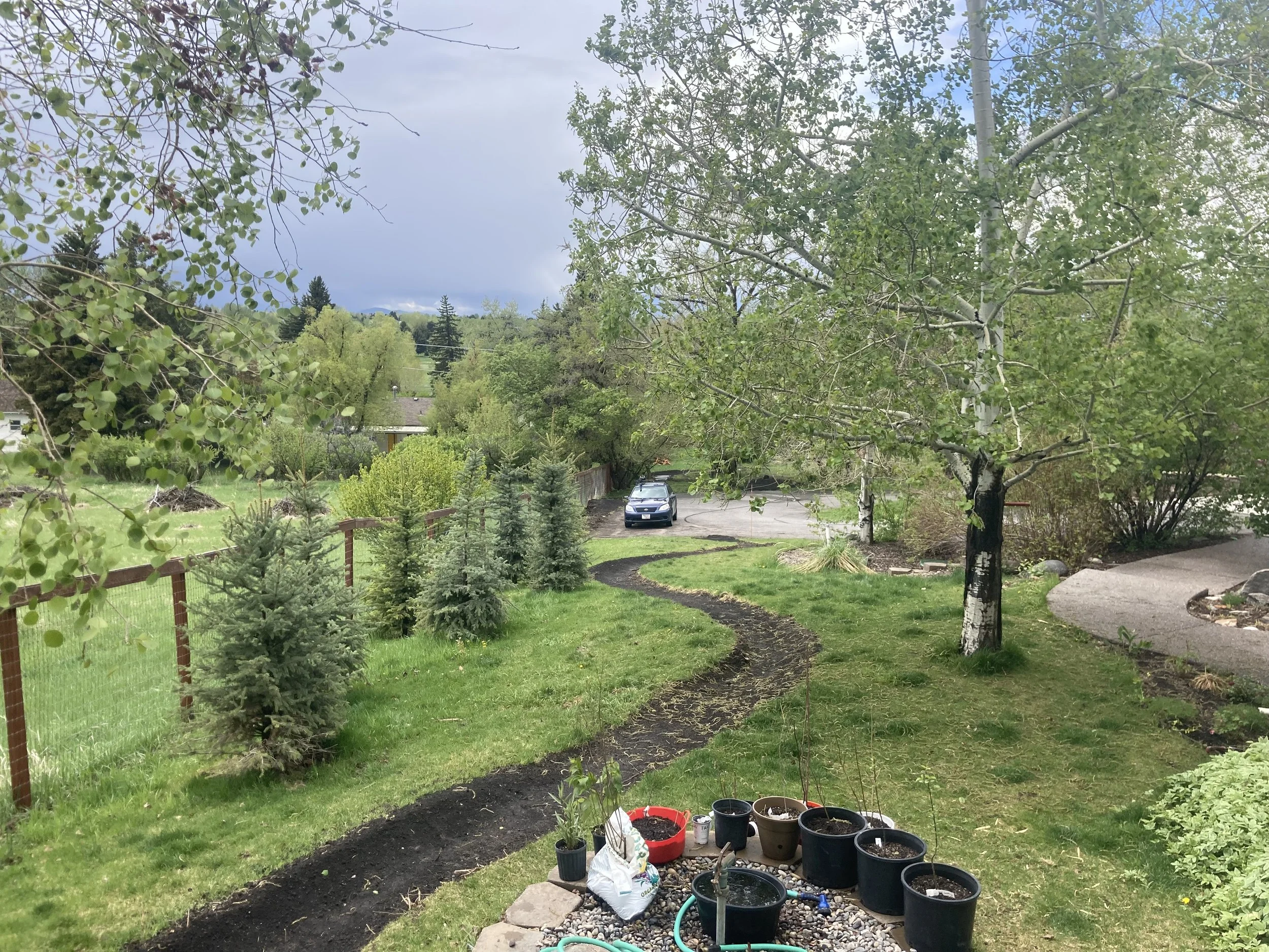 Backyard E-MTB Climbing Flow