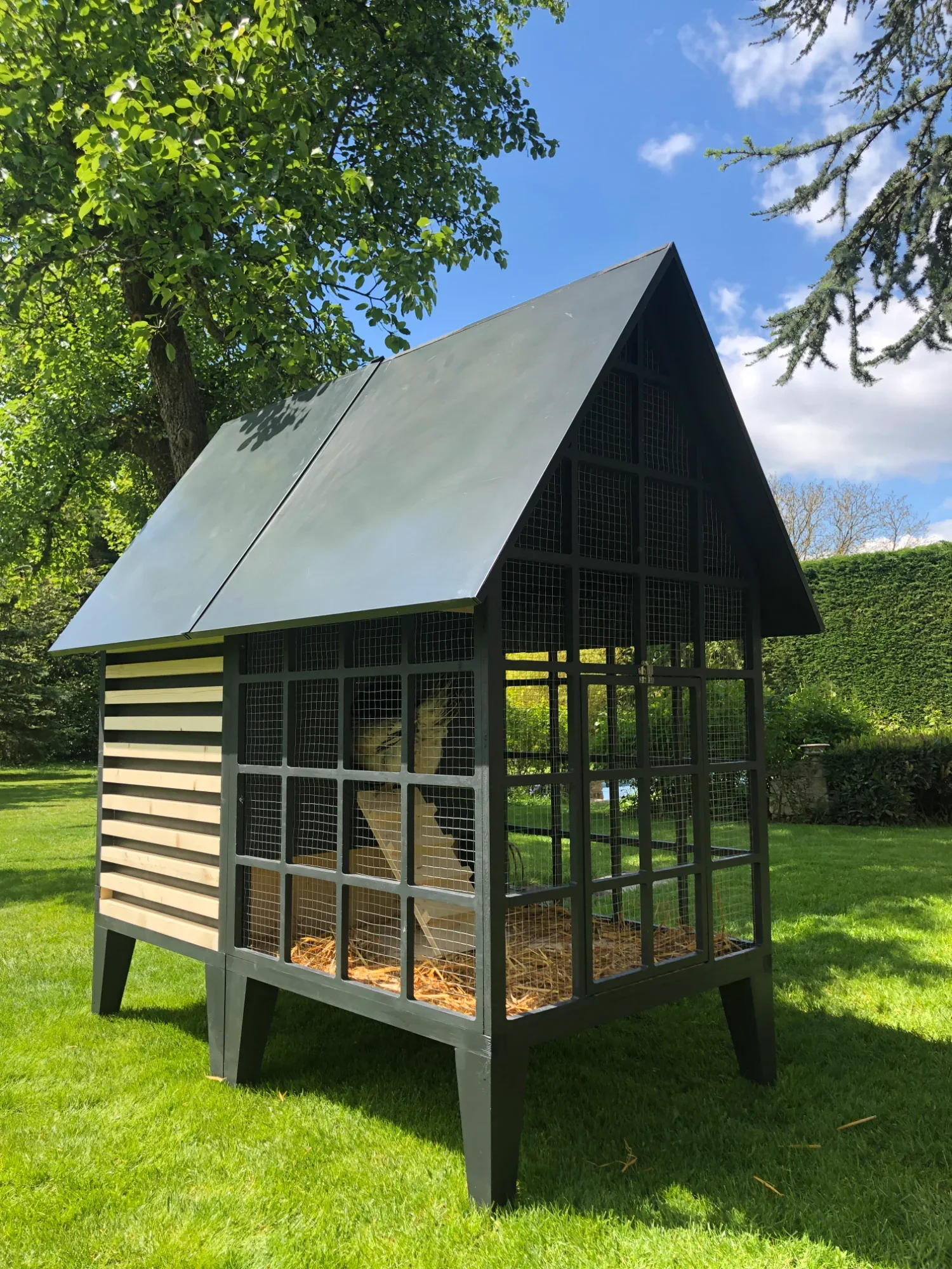 cabanon animaux-10.webp