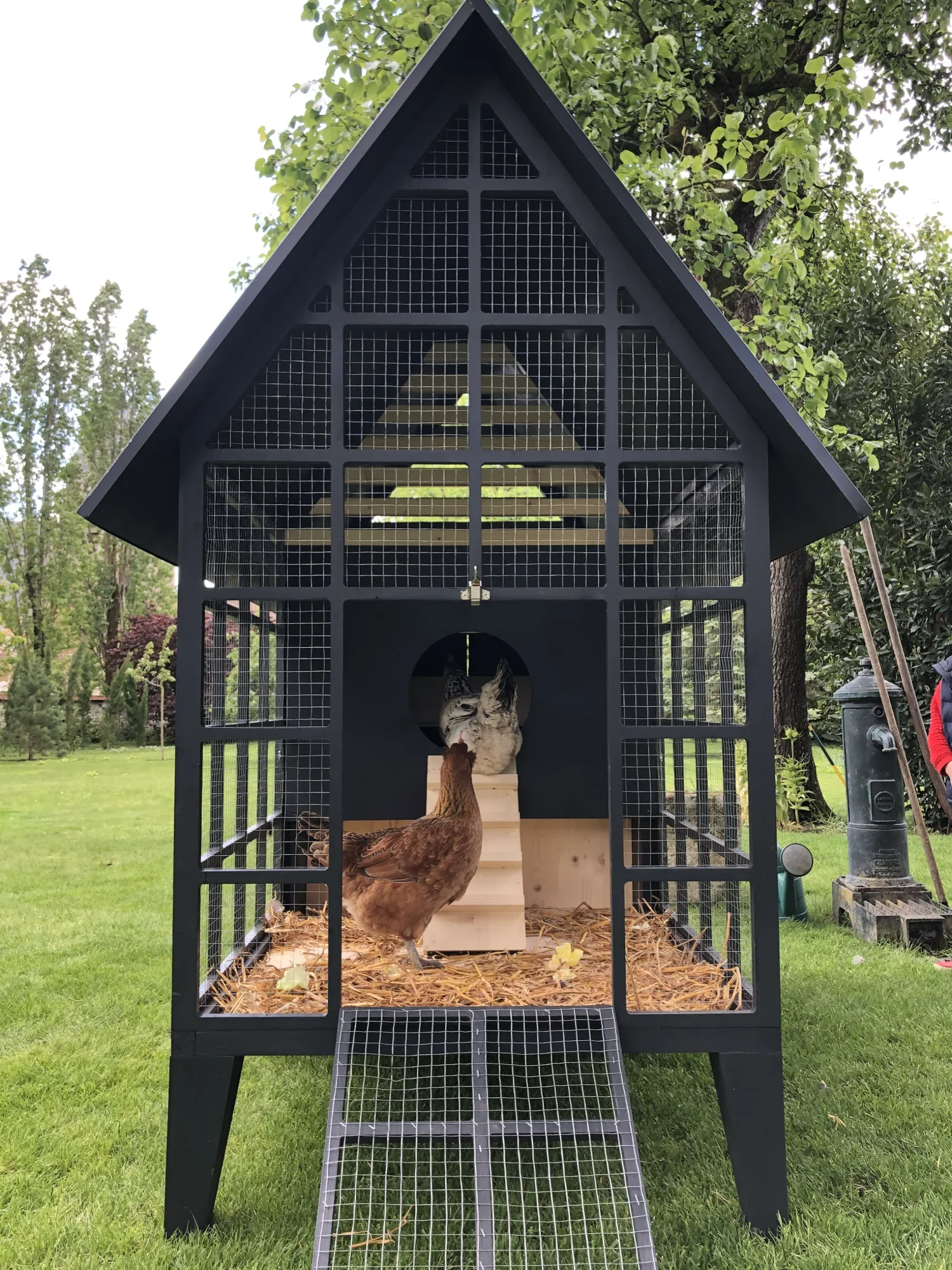 cabanon animaux-14.webp