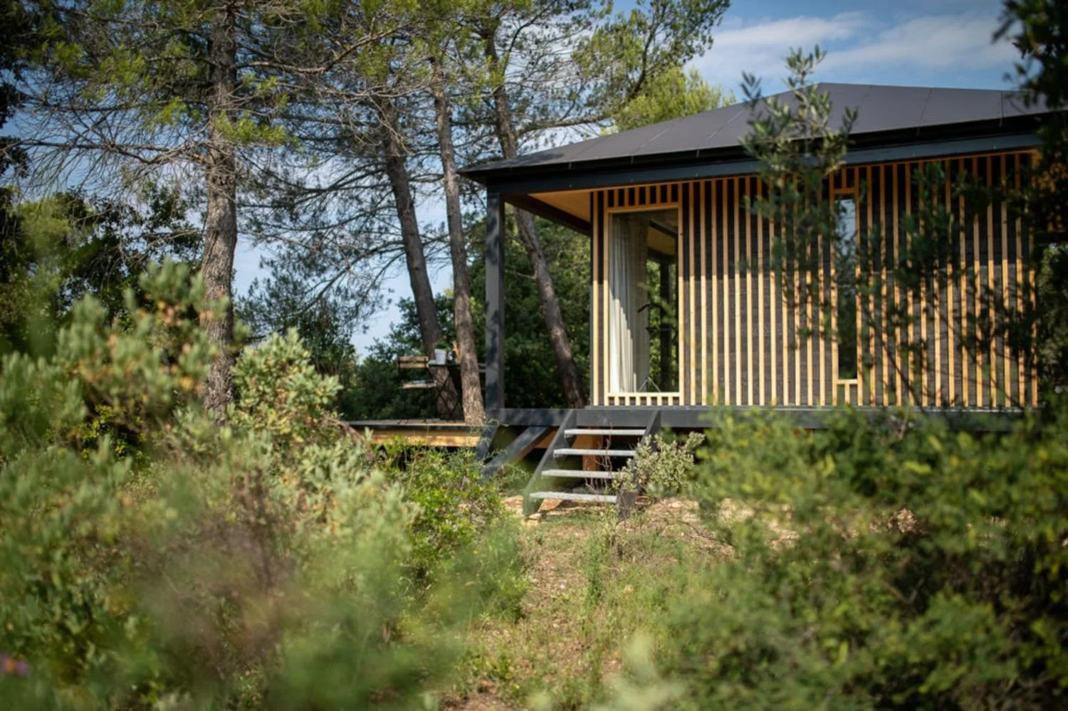 Ecolodge KOBE entourée de végétation et d'arbres, avec un escalier menant à une terrasse surélevée.