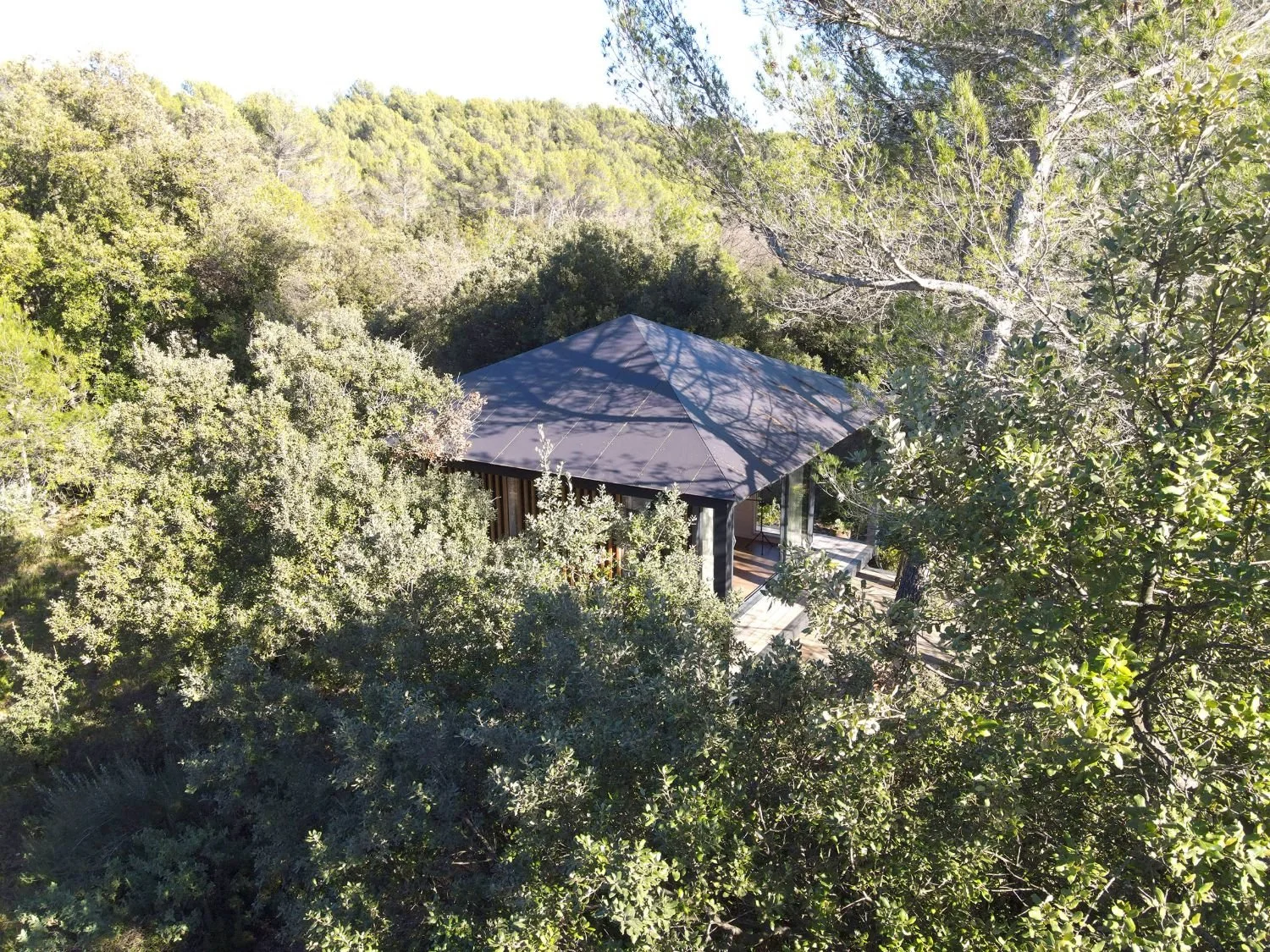 Vue aérienne d'un Ecolodge KOYA avec un toit gris, entourée d'arbres feuillus dans une forêt dense.