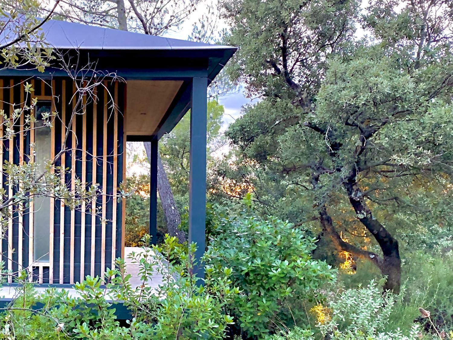 Ecolodge KOBE avec un balcon en bois, entourée de végétation dense avec plusieurs arbres et buissons, au crépuscule.