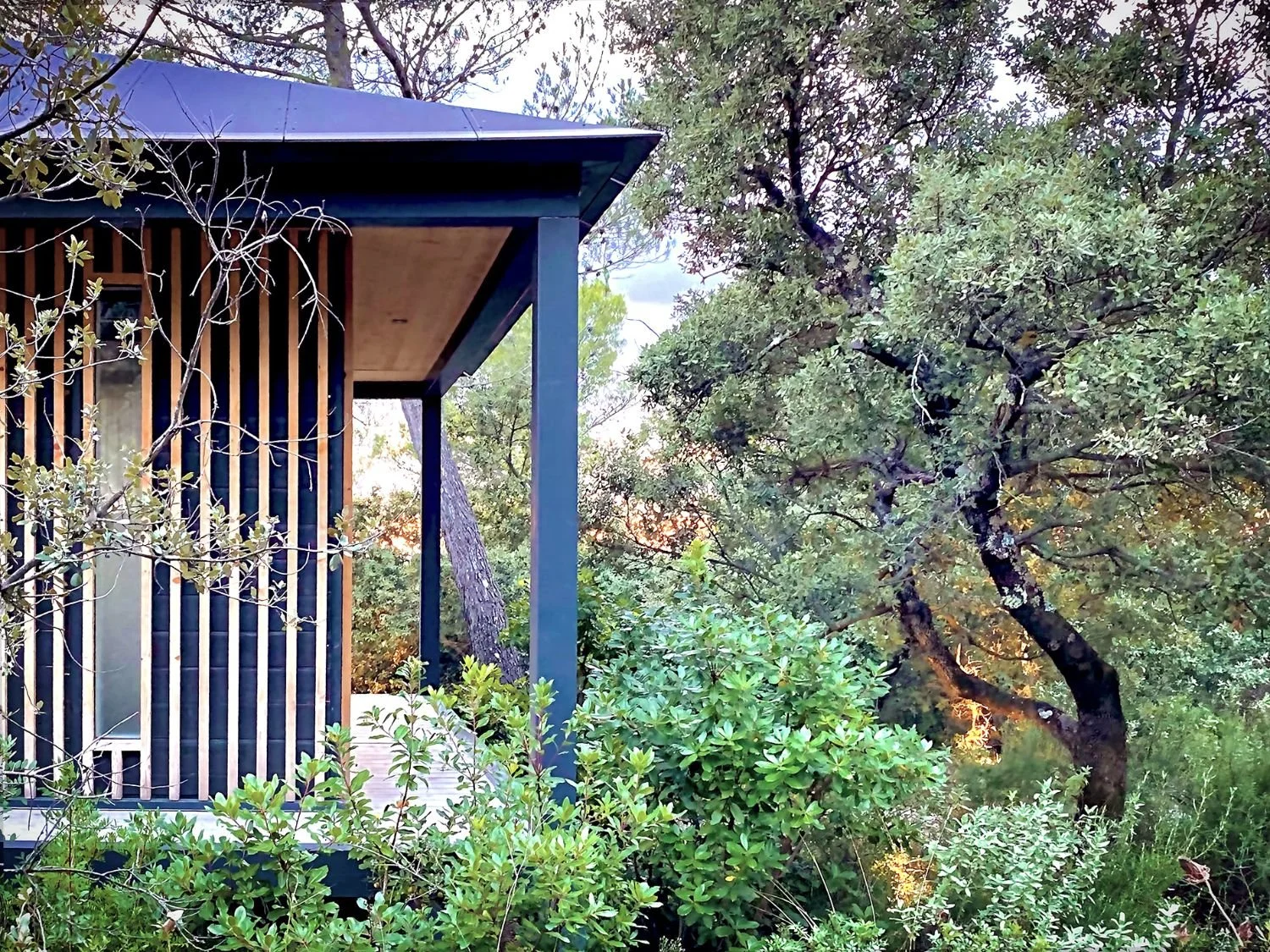Ecolodge KOBE au milieu de la nature avec des arbres et des arbustes verts.