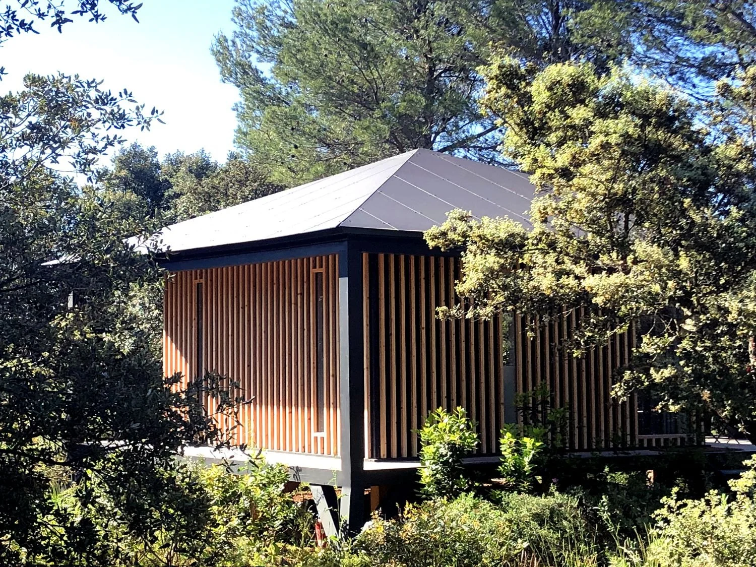 Ecolodge KOBE  avec un toit, entourée d'arbres et de végétation, dans un environnement naturel.