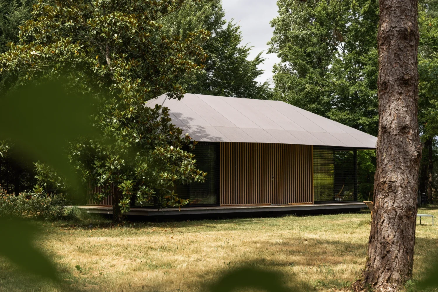 teshima-10.webp