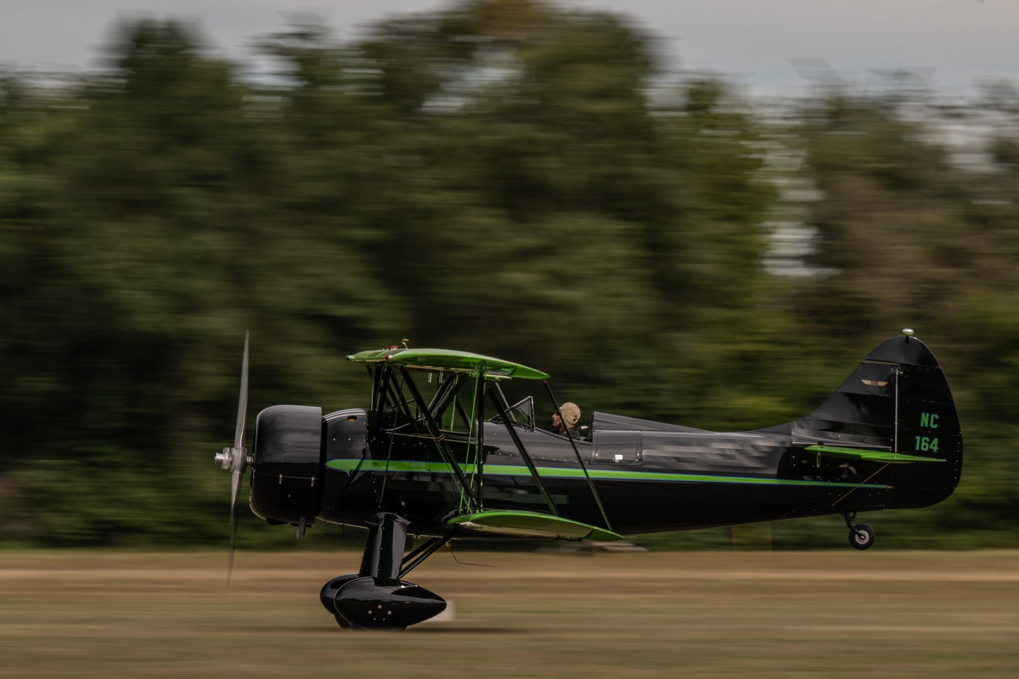 DSC_1510.jpg