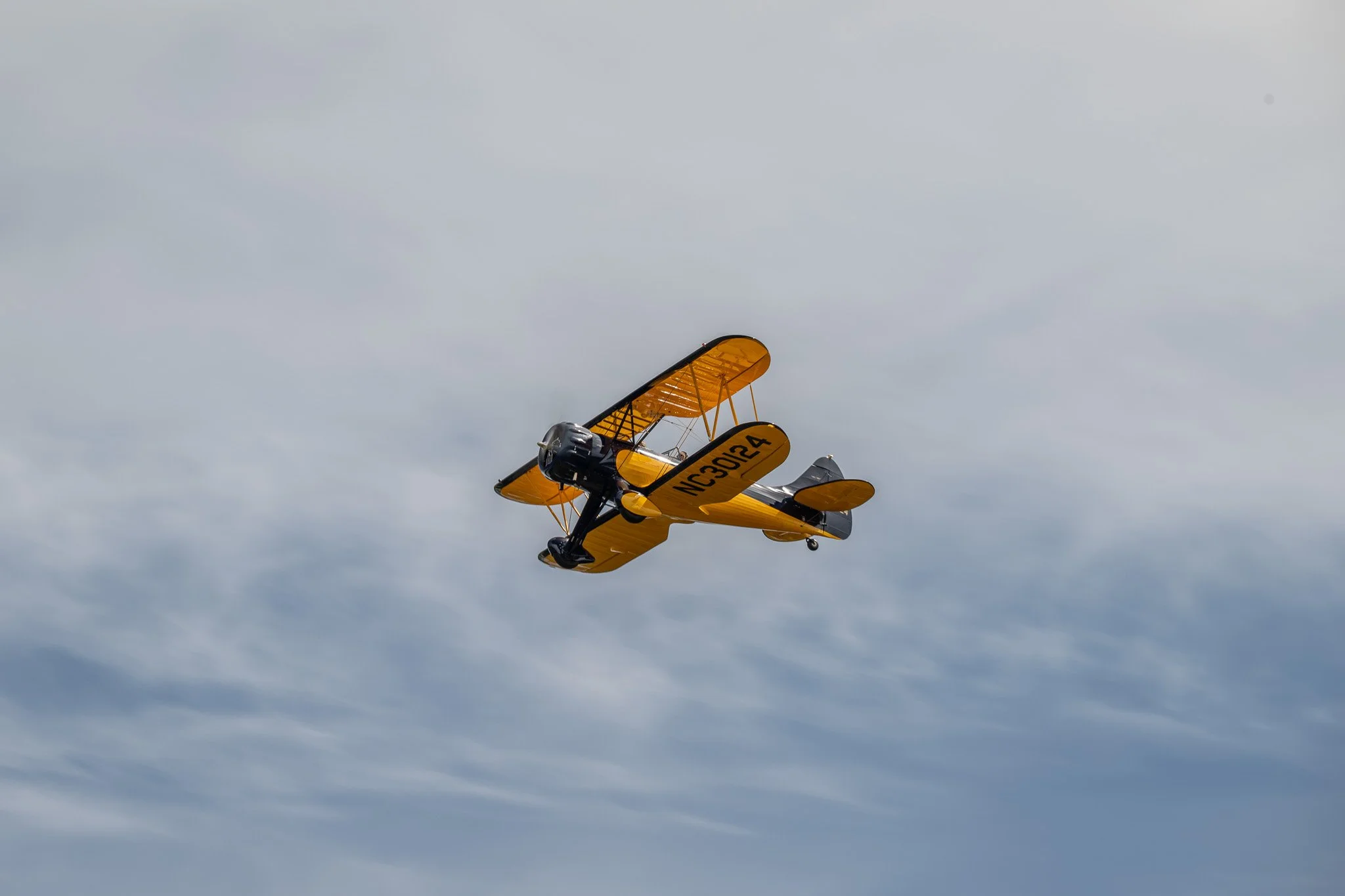 DSC_1438.jpg