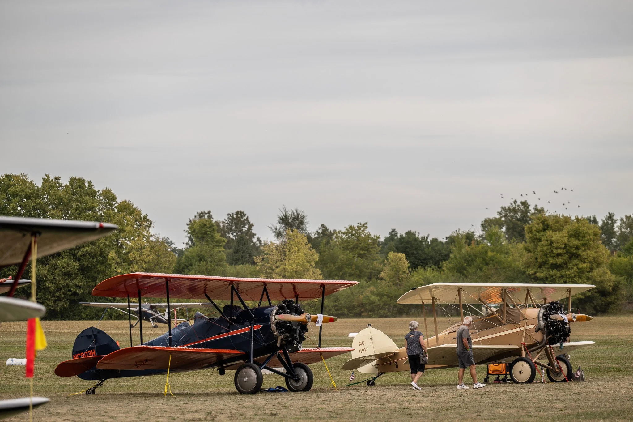 DSC_1679.jpg