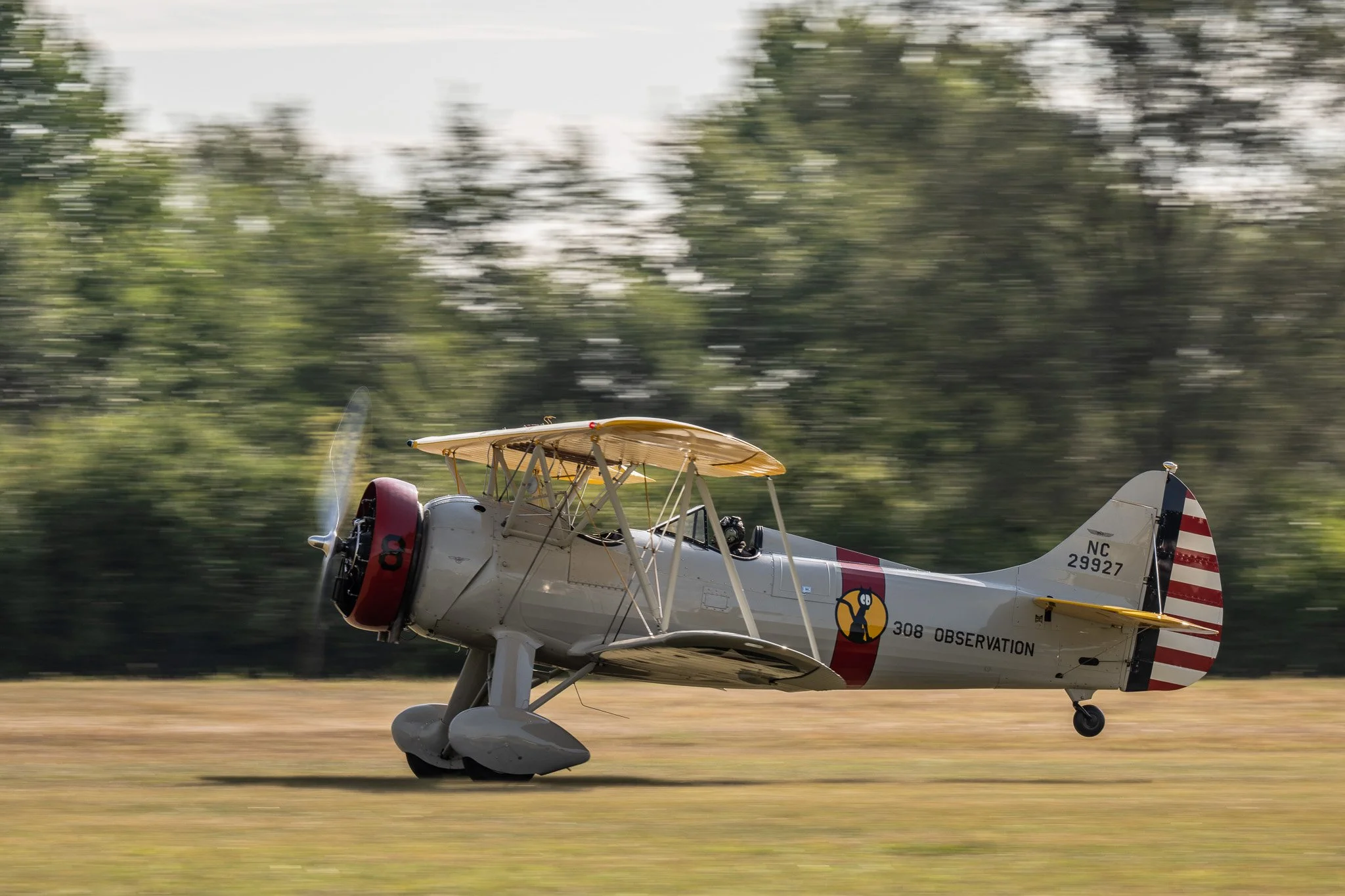 DSC_1909.jpg