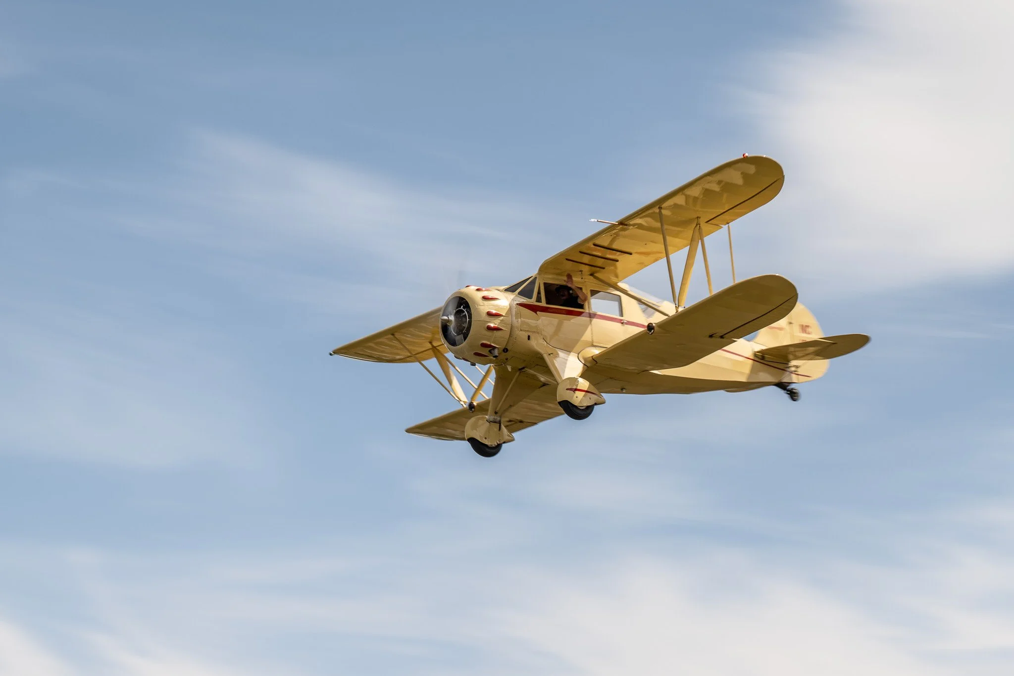 DSC_1273.jpg