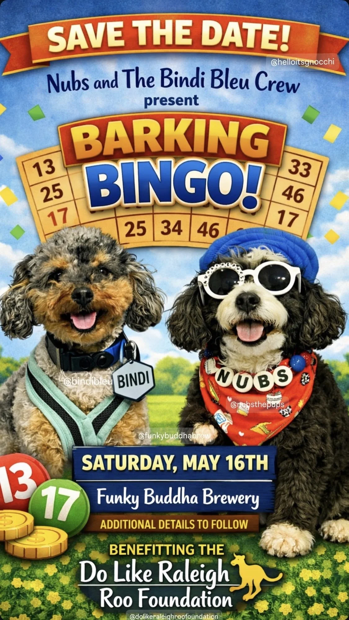 Barking Bingo!