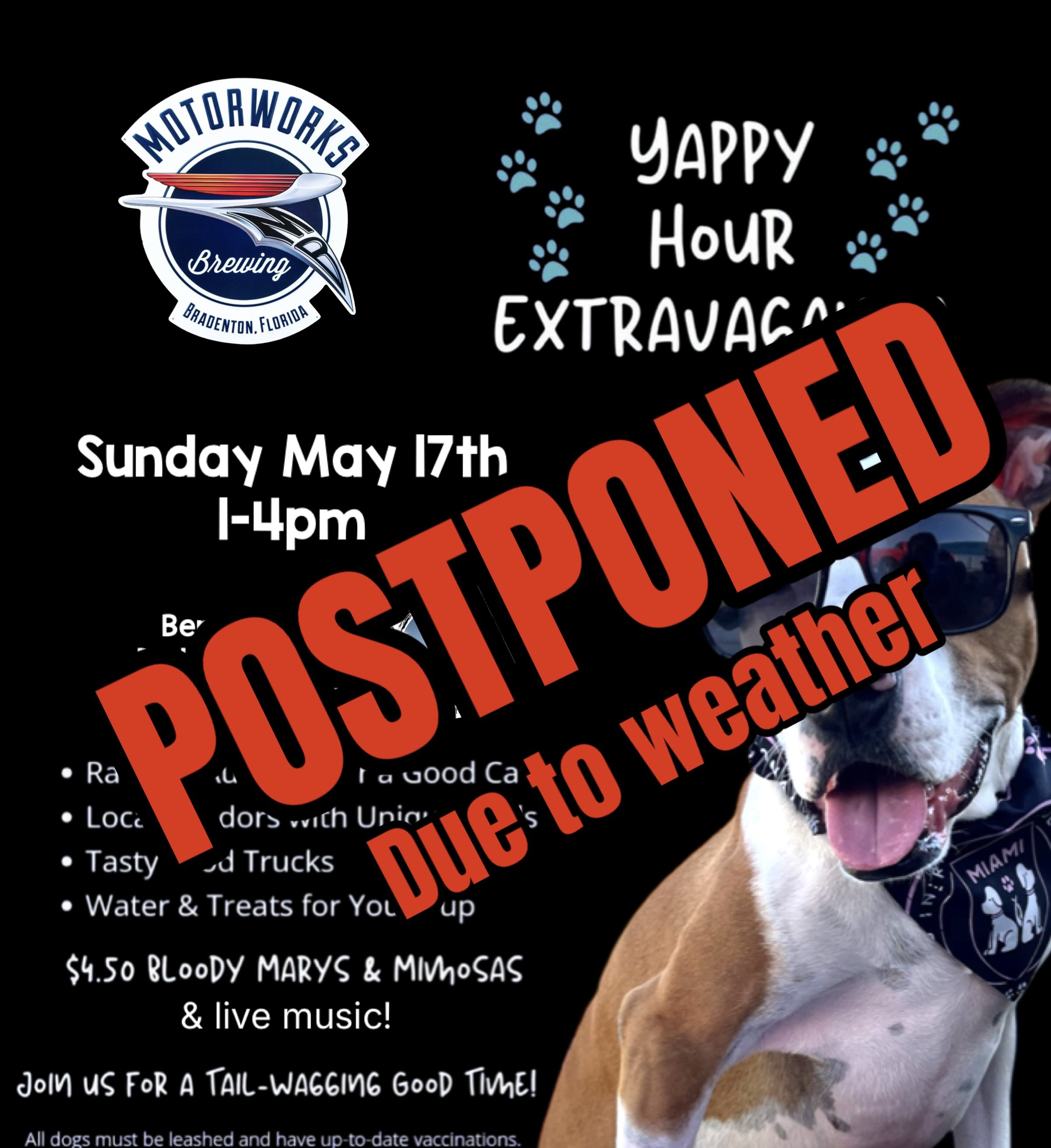 Yappy Hour