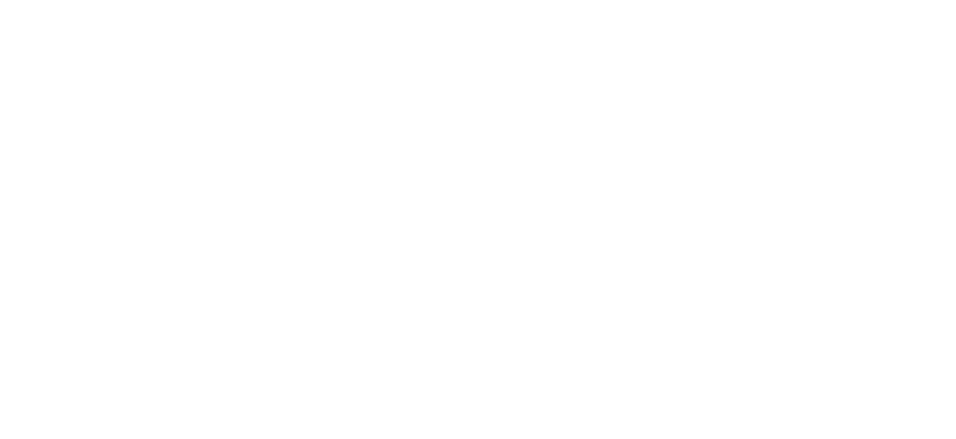 BIG THIEF