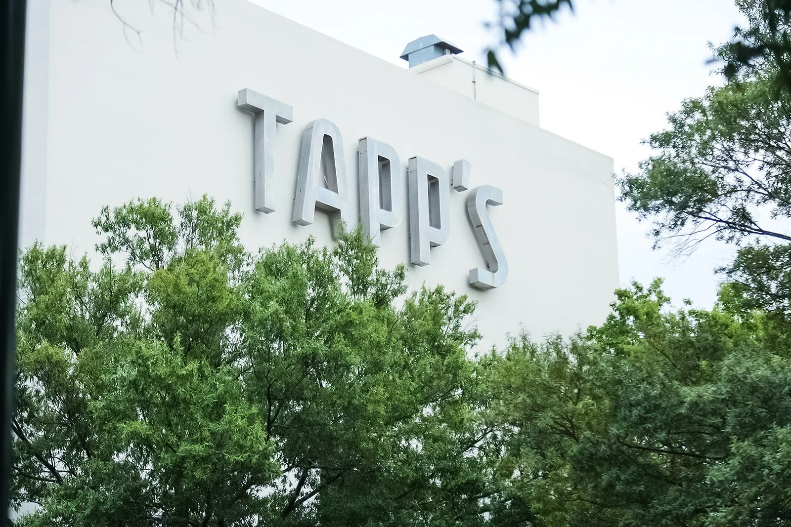 TAPPS Soft opening 2025-6492.jpg