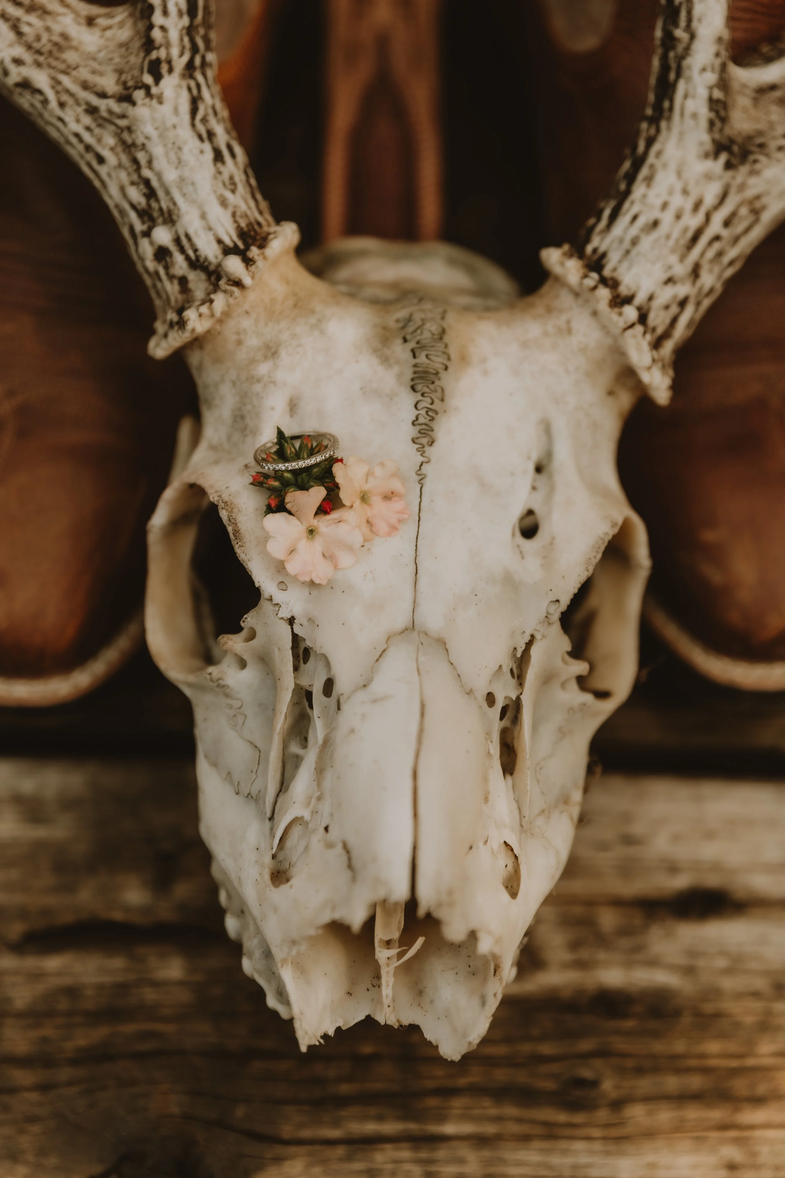 Deer skull as part of the reception details during a small intimate wedding in Alberta, photographed by Calgary & Alberta wedding photographer Shannon Boyd