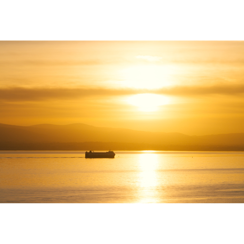 Yellow Sunset Cruise