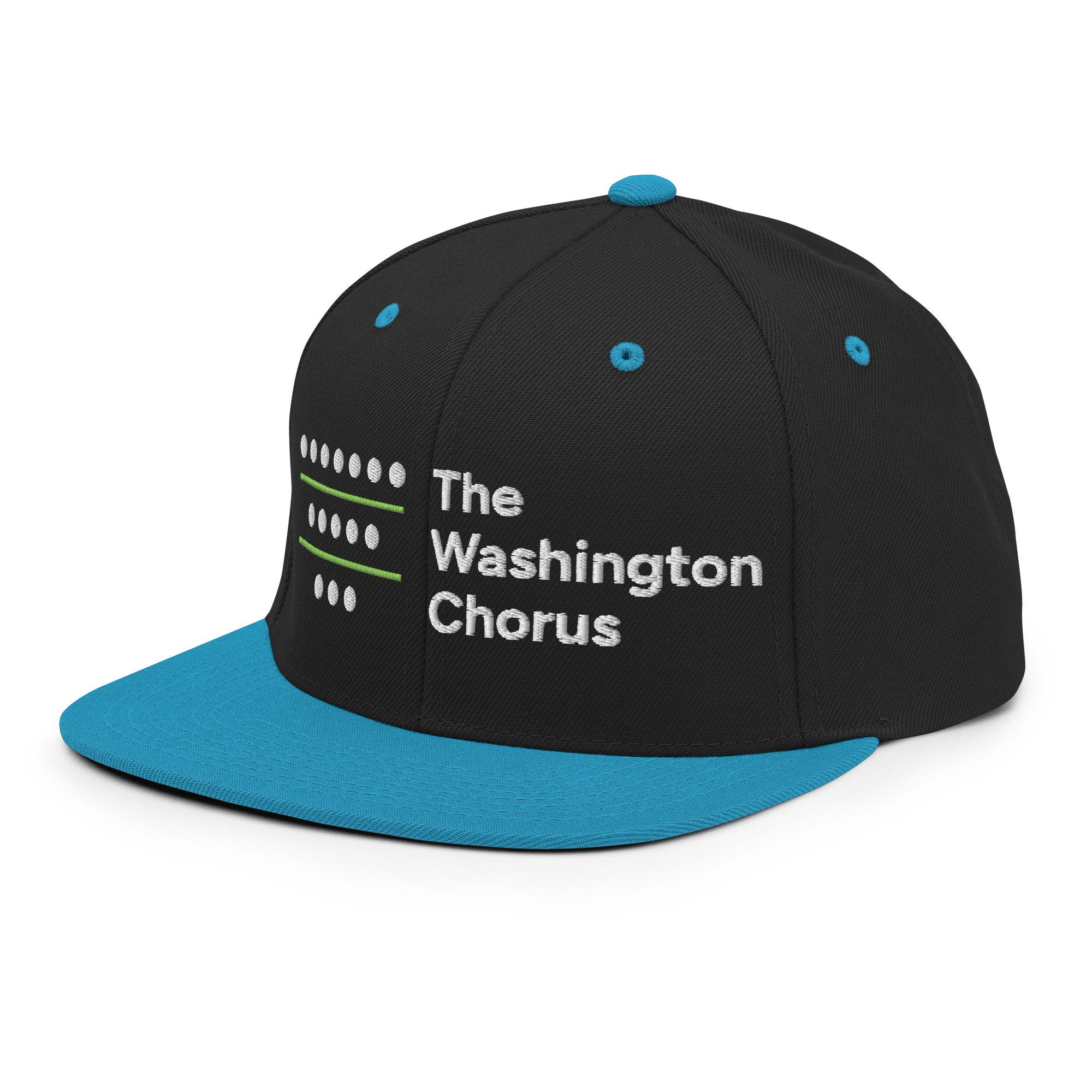 classic-snapback-black-teal-left-front-6834b435d1227.png