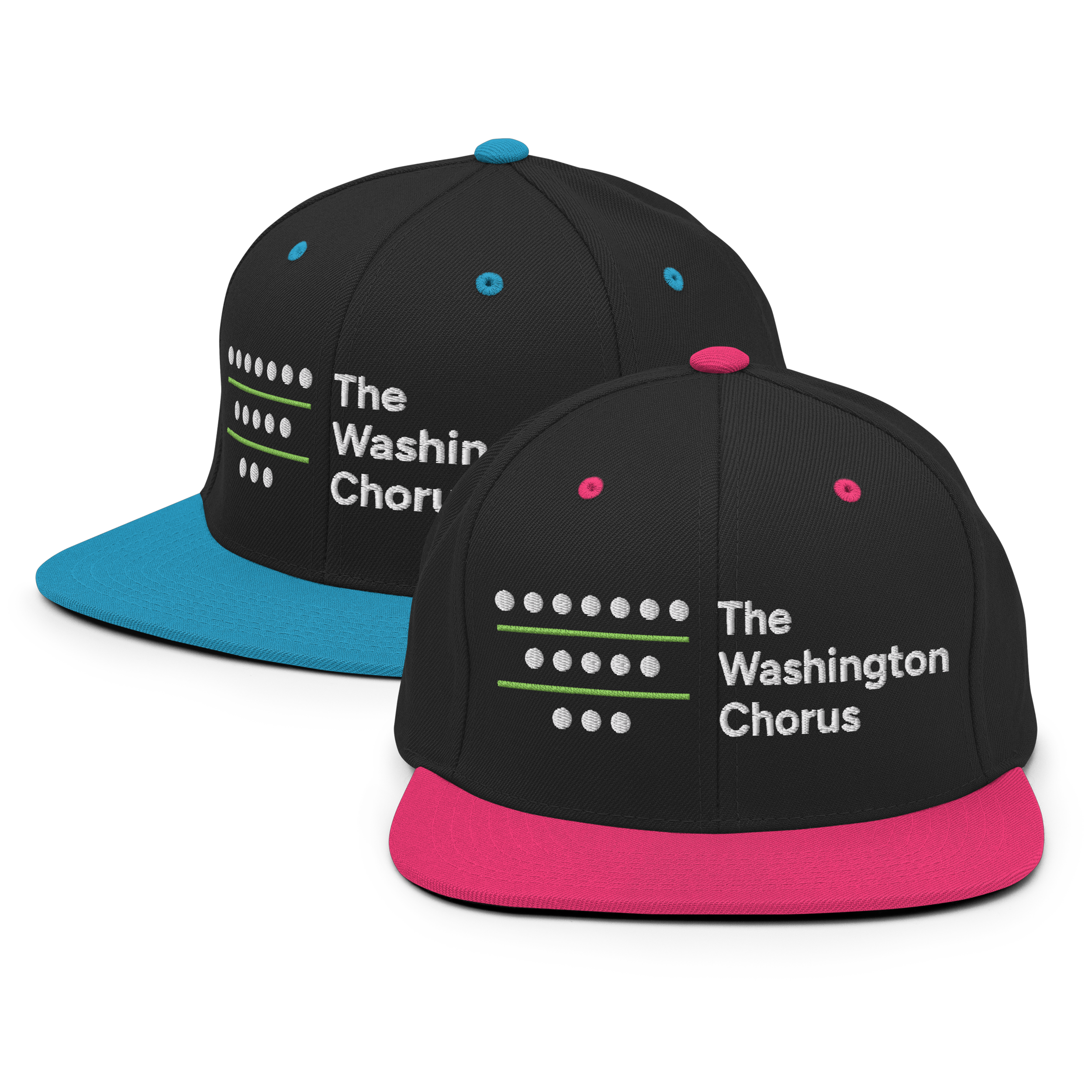 Pink and Blue Snapback.png
