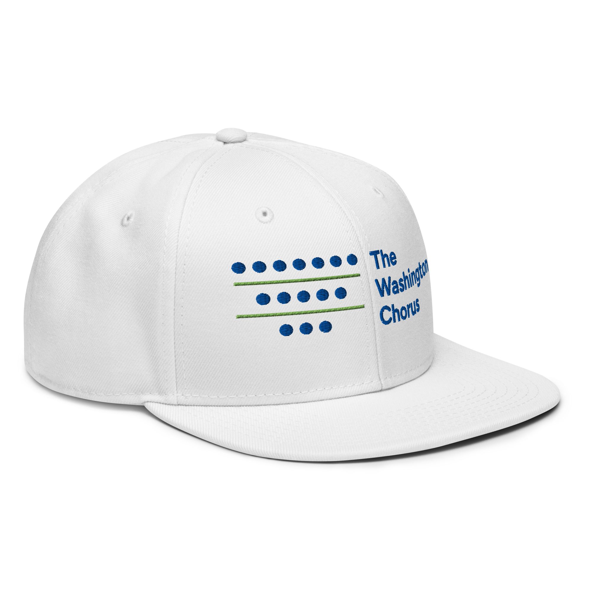 Embroidered Snapback Hat