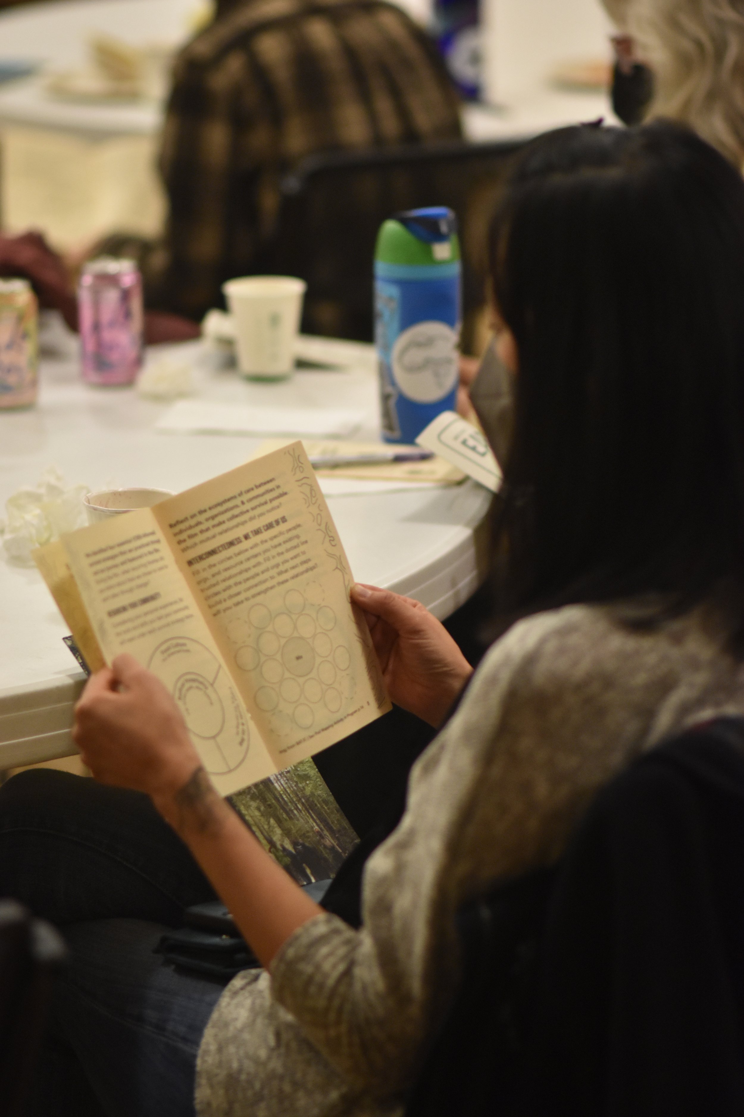 Copy of DSC_0208.JPG