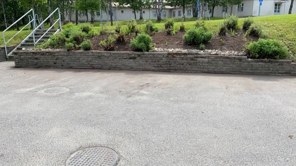 Taloportaikko ja kukkapenkki, jossa on pensaita ja pieniä kasveja, asfaltin ja betonilaattojen ympäröimänä.