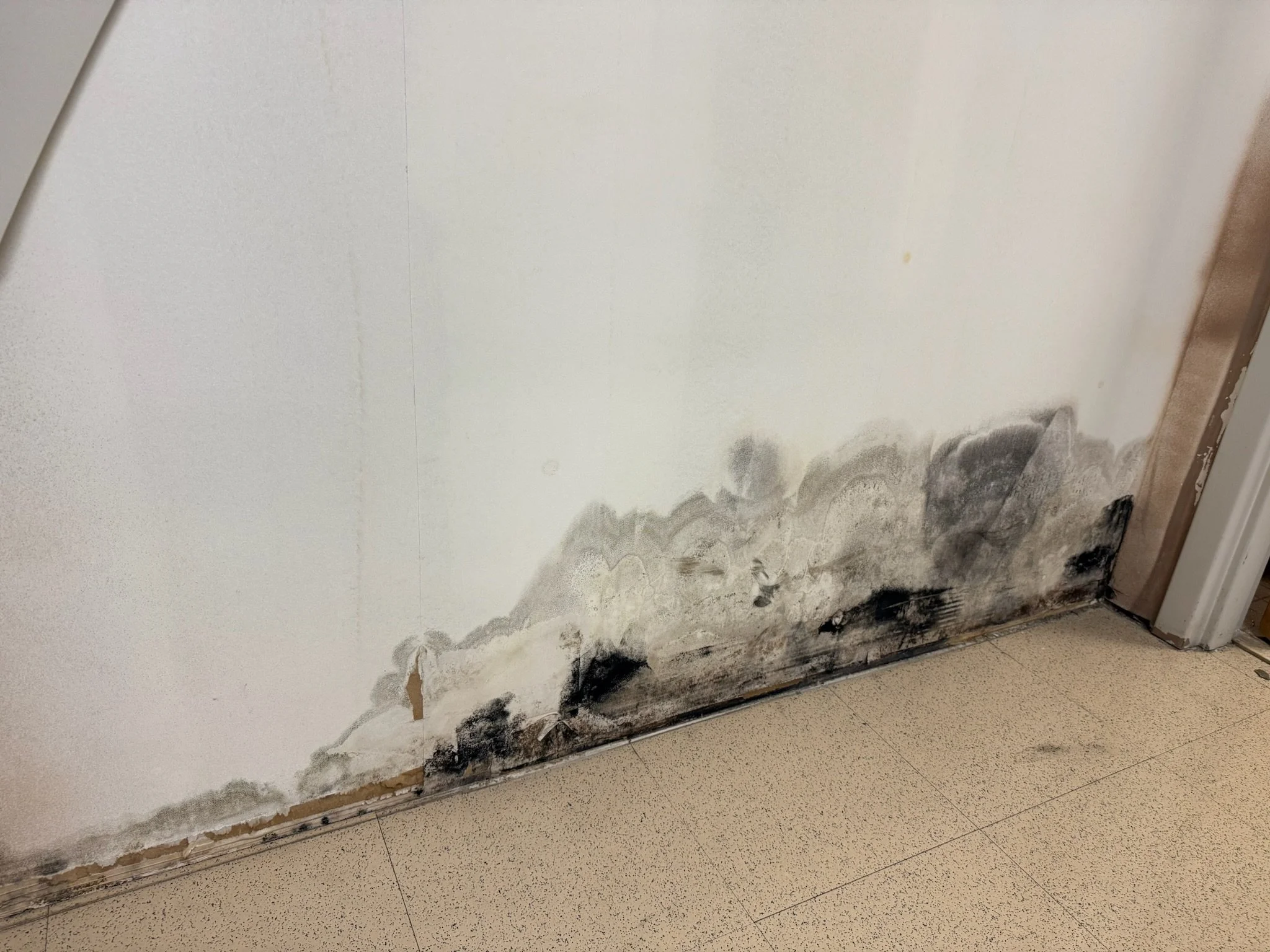 Wall with water damage and black mold near the floor, adjacent to a beige tiled floor and a door frame.