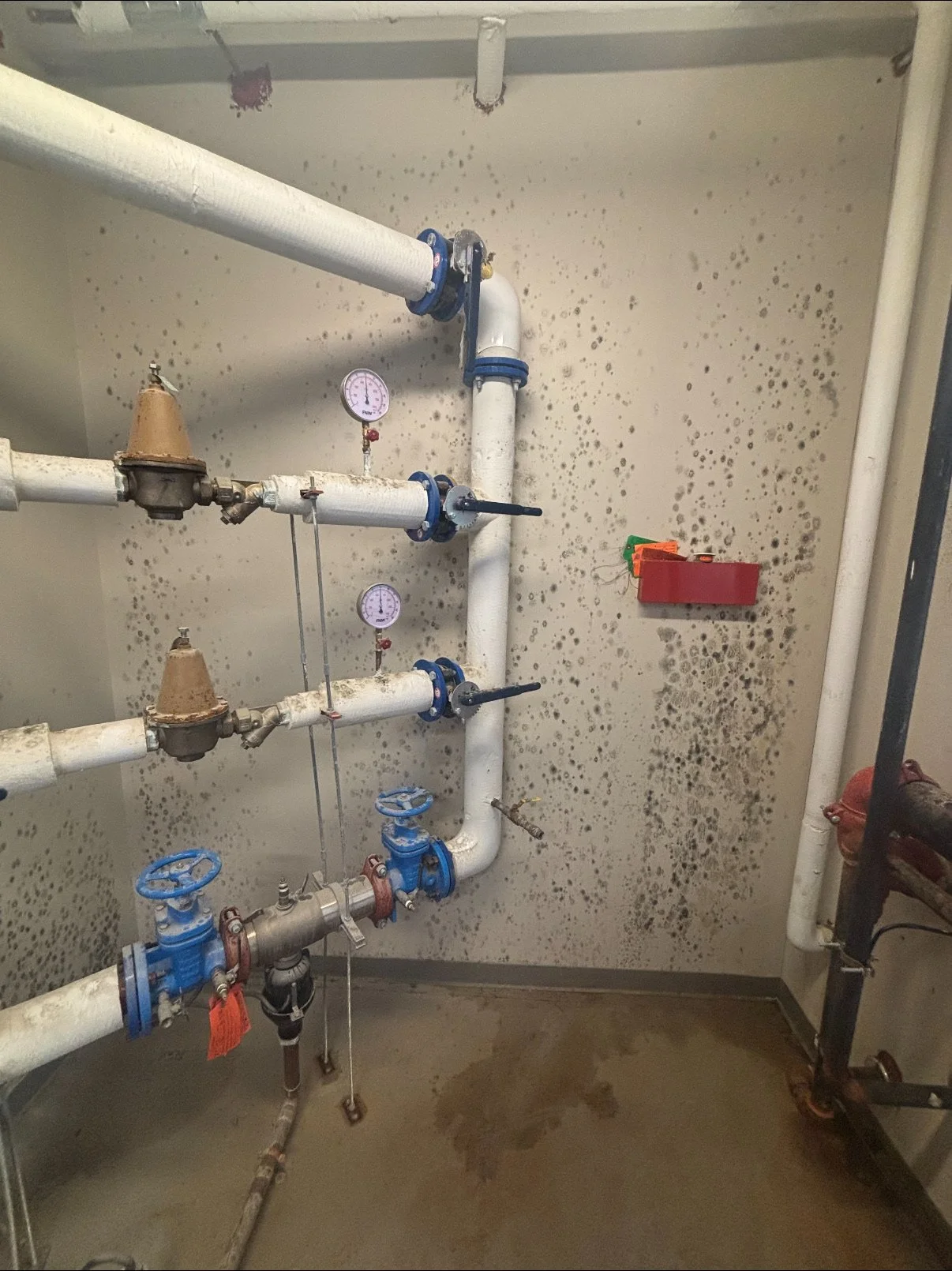 A wall with water pipes, valves, and gauges, covered in mold or mildew, and a wet floor.