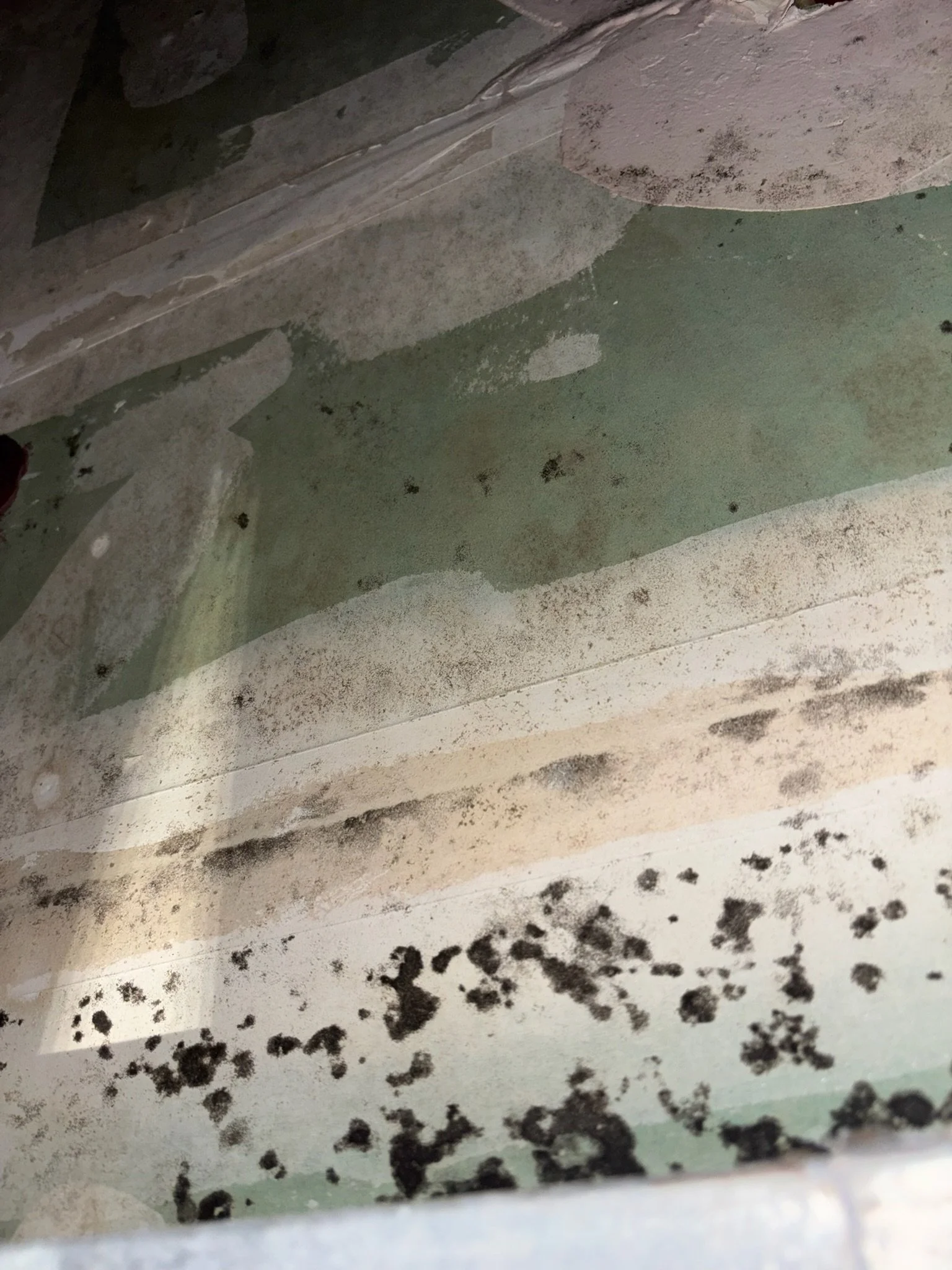 Close-up view of a surface with dirt, mold, or mildew spots, some areas having black mold growth, suggesting a dirty or moldy surface.