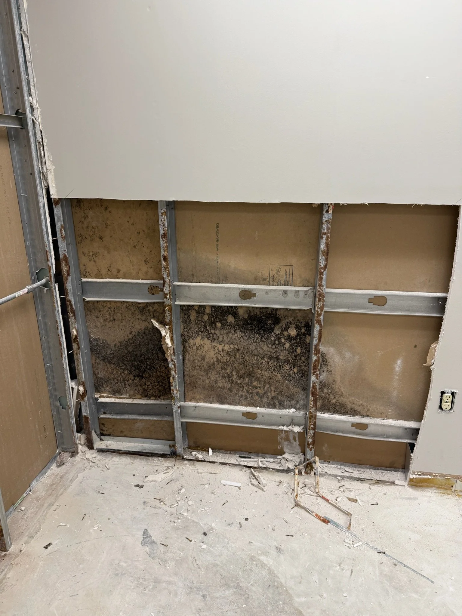 Part of a wall under construction showing exposed metal studs, some with black mold, and a partially installed white drywall panel.