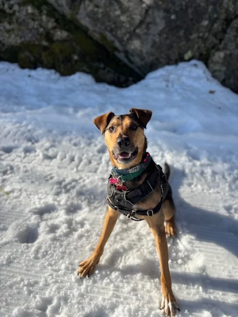 Solo Adventure Walk, Single