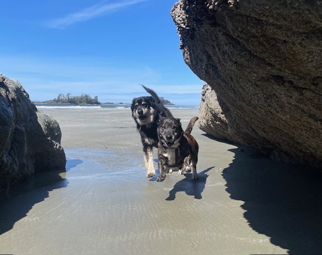 Group Adventure Walk, Single