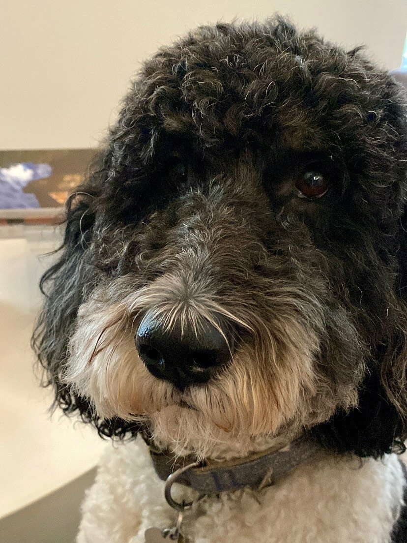 Life lately &mdash; home and family