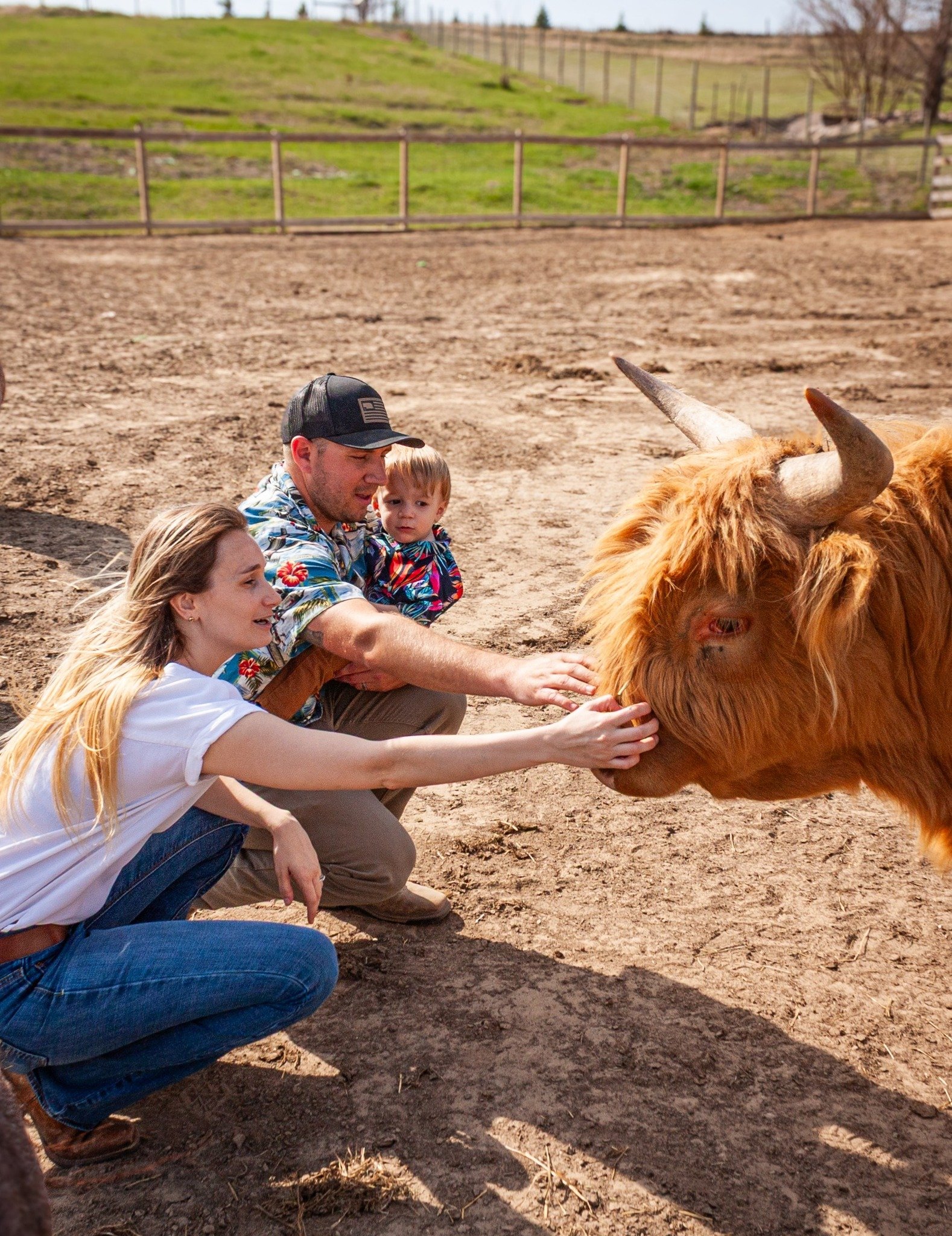 A family of three petting a Highland cow in a farm enclosure on a sunny day.