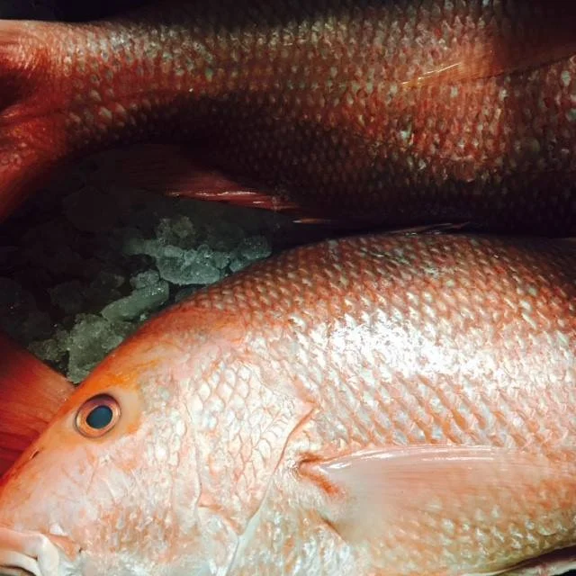 Close-up of several silver and red fish with scales on a bed of ice.