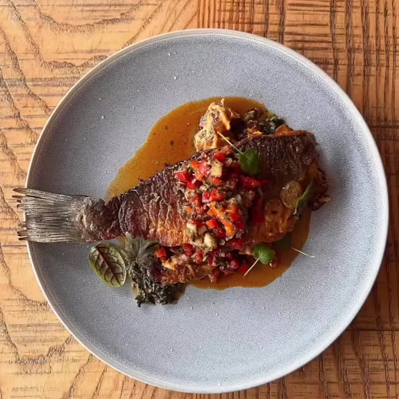 A plated cooked fish with garnishes and sauce on a gray plate on a wooden surface.