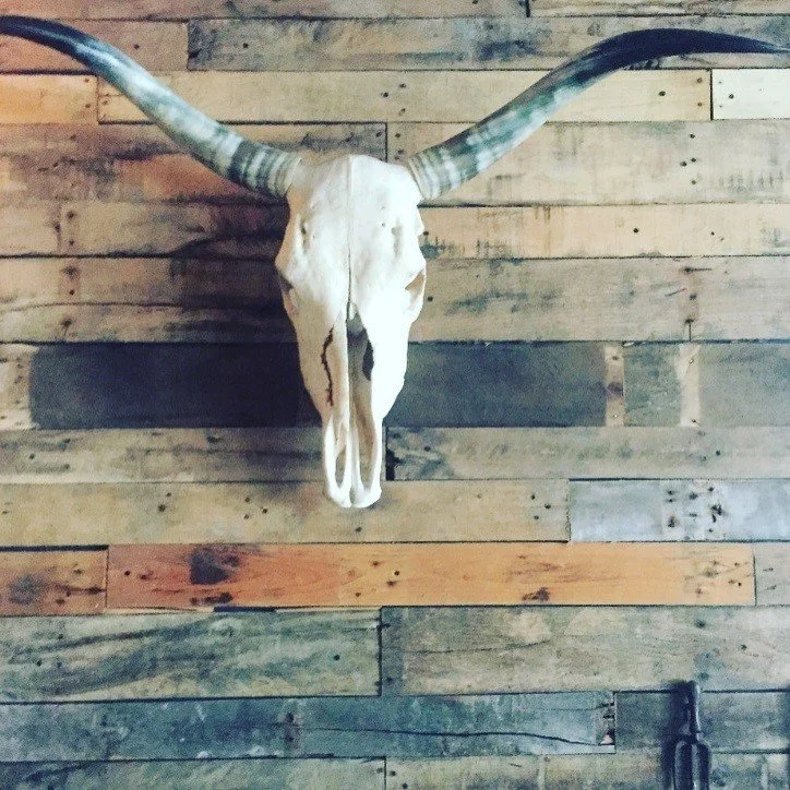 A skull with long, curved horns mounted on a wooden wall.