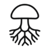www.themushroomdirectory.com favicon
